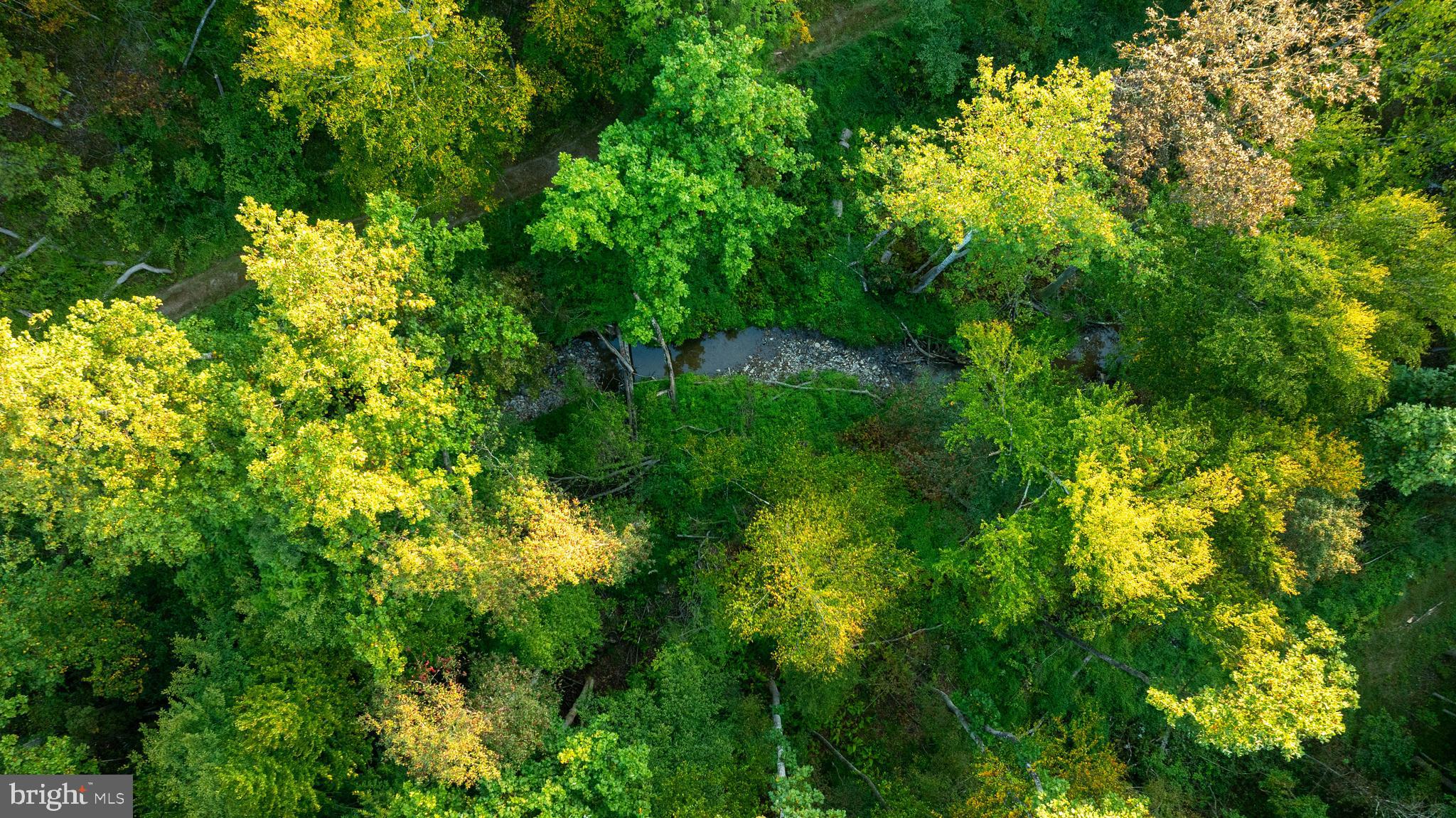 NEWPORT - Residential