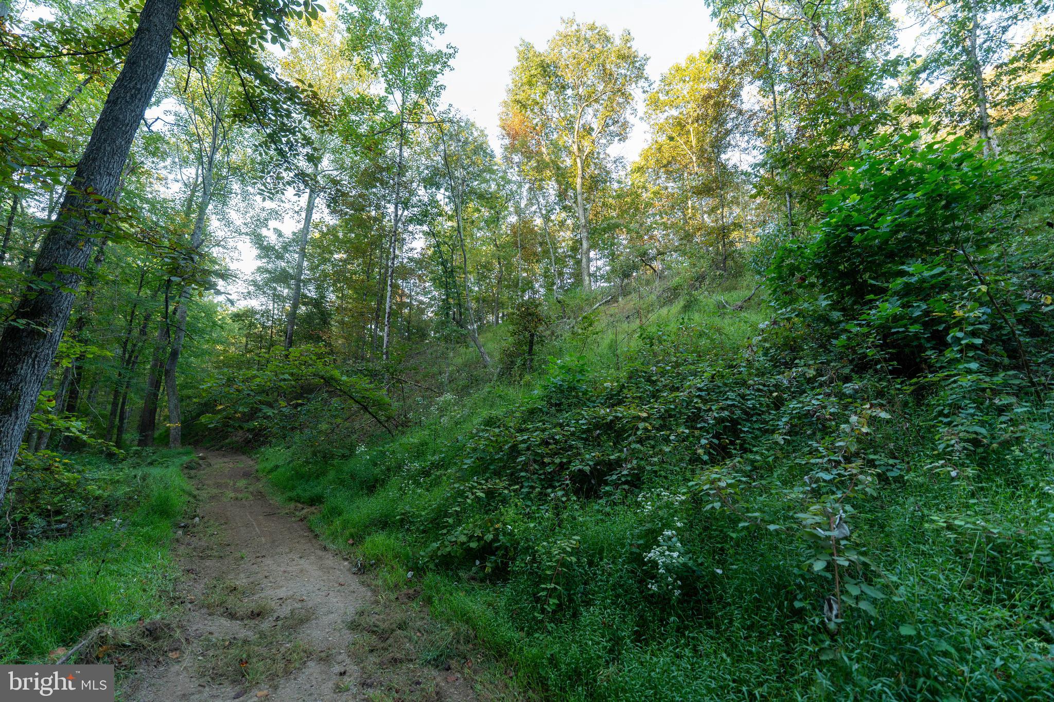 NEWPORT - Residential