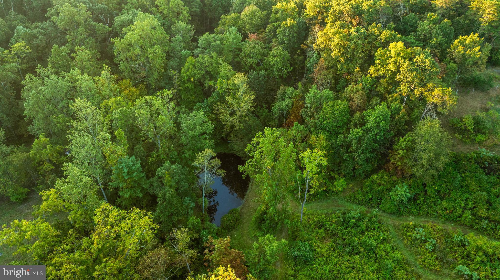 NEWPORT - Residential