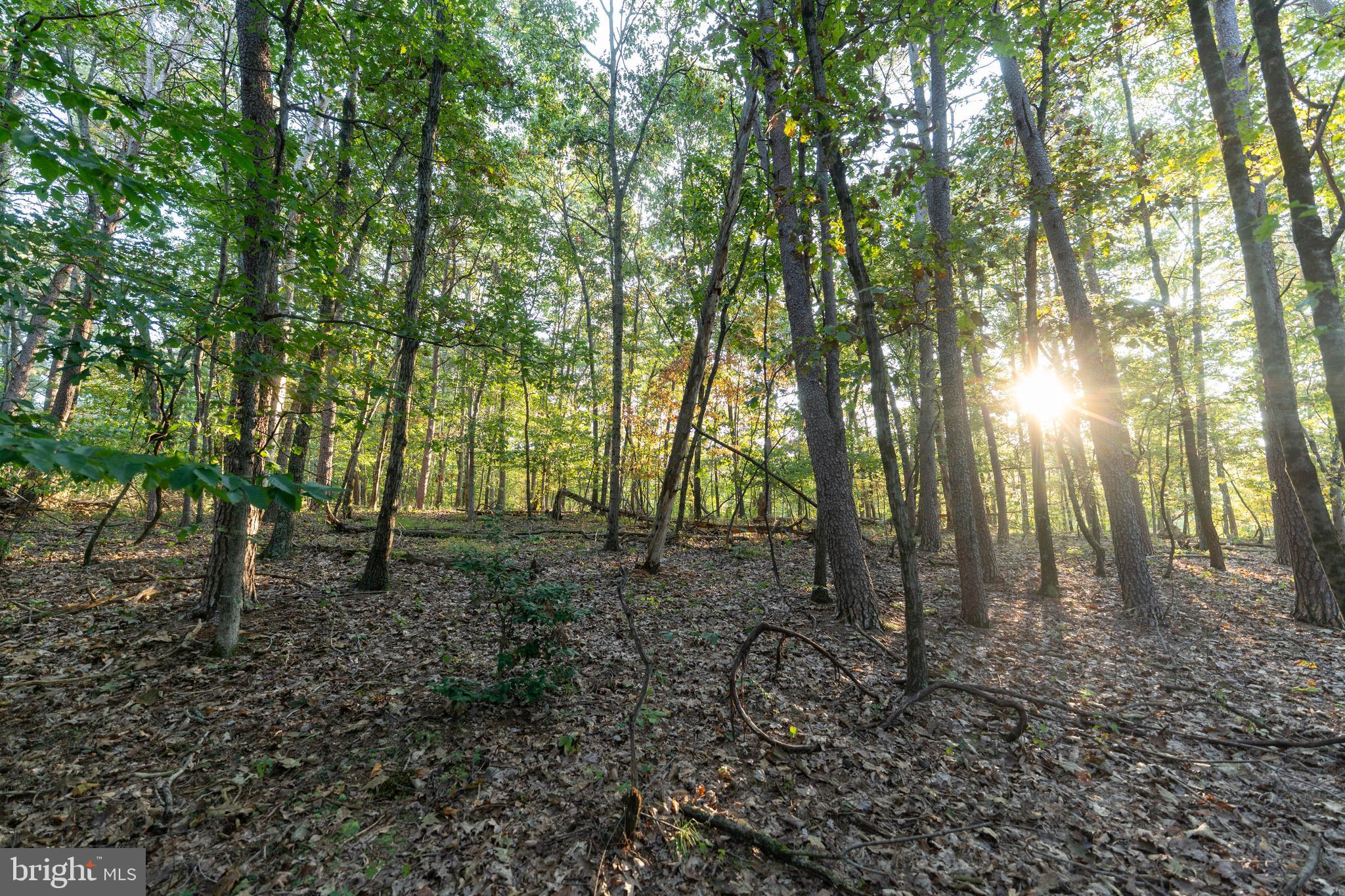 NEWPORT - Residential