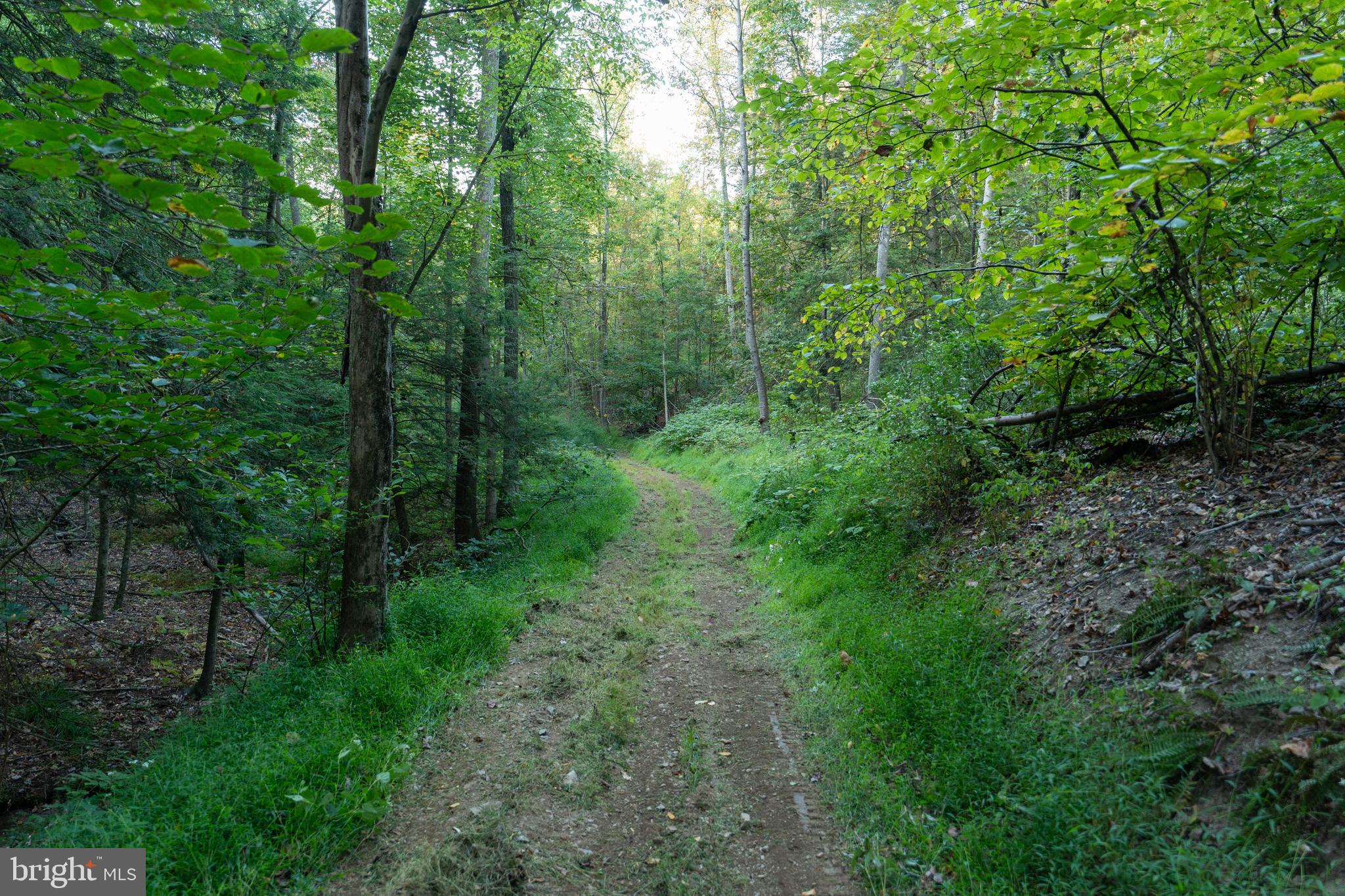 NEWPORT - Residential