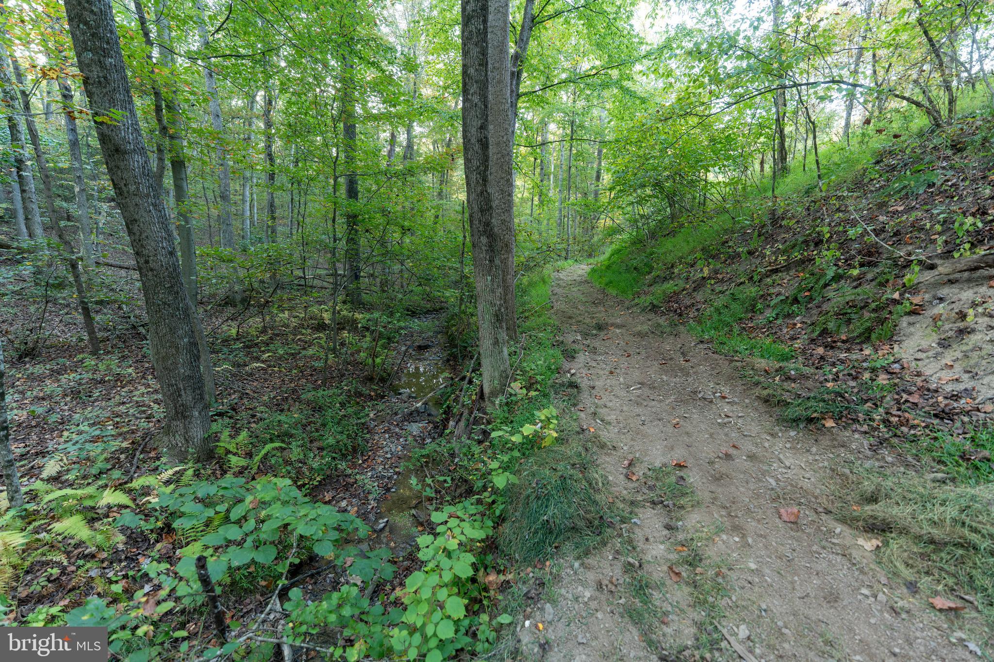 NEWPORT - Residential