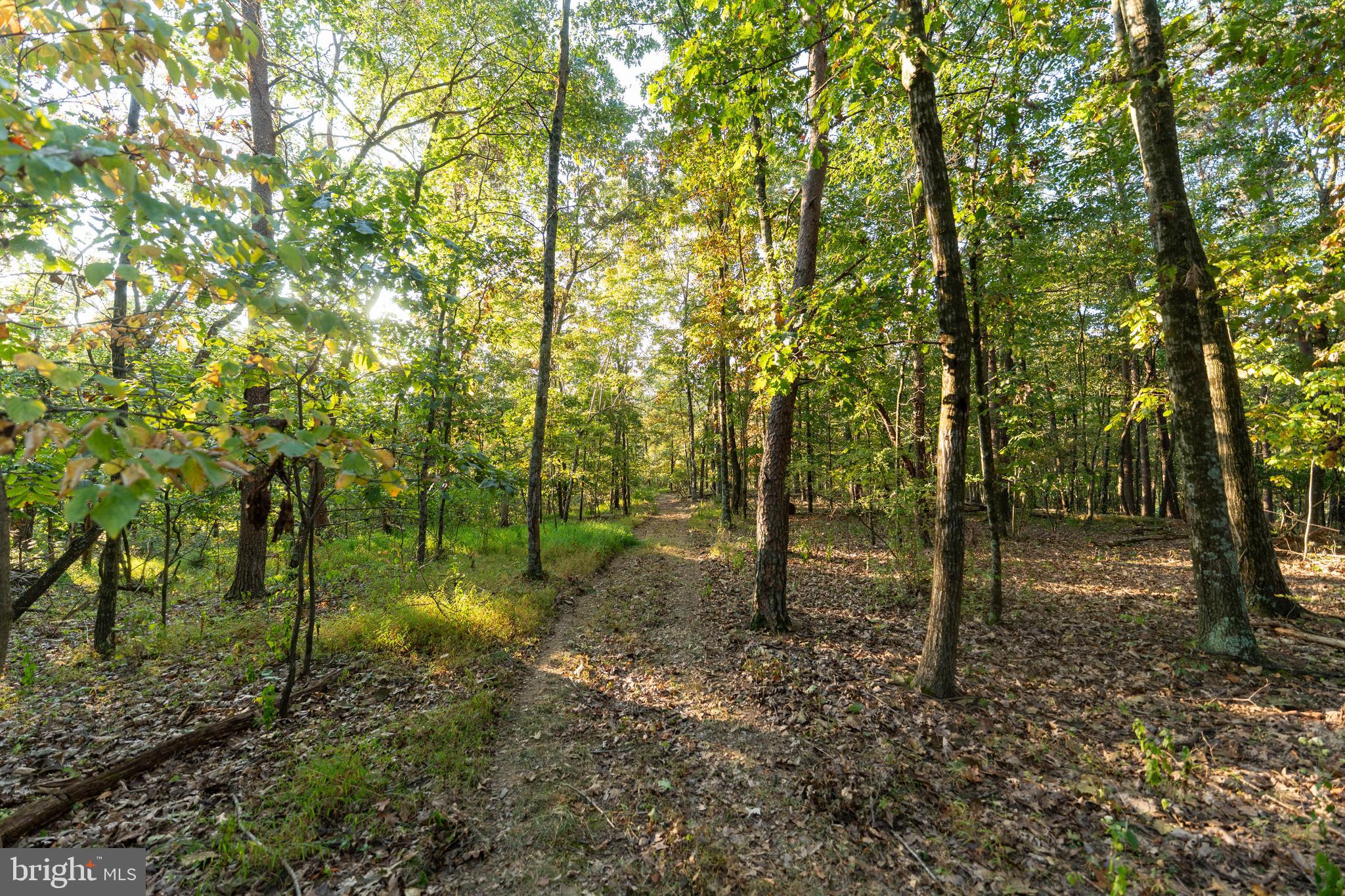 NEWPORT - Residential