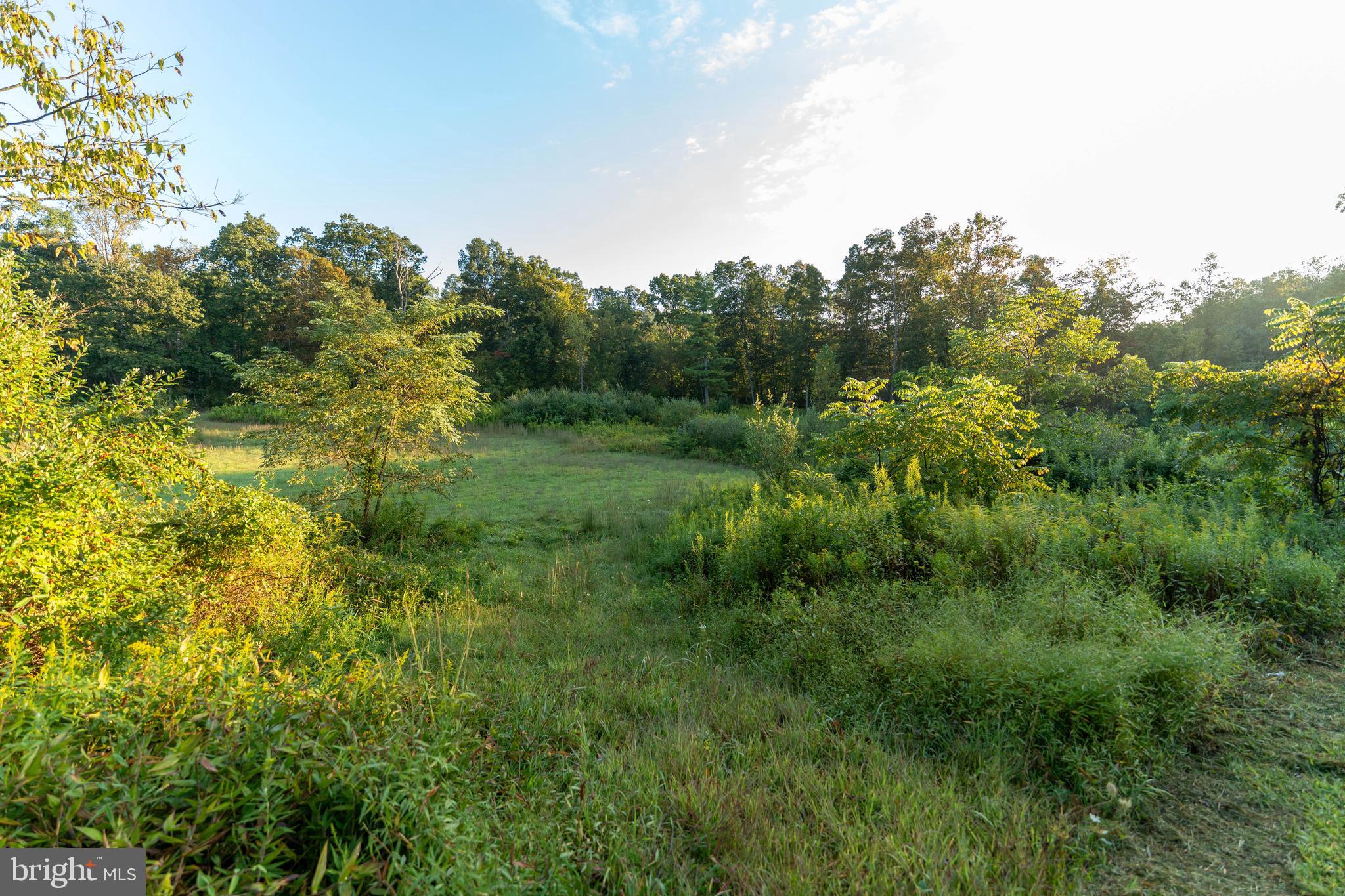 NEWPORT - Residential