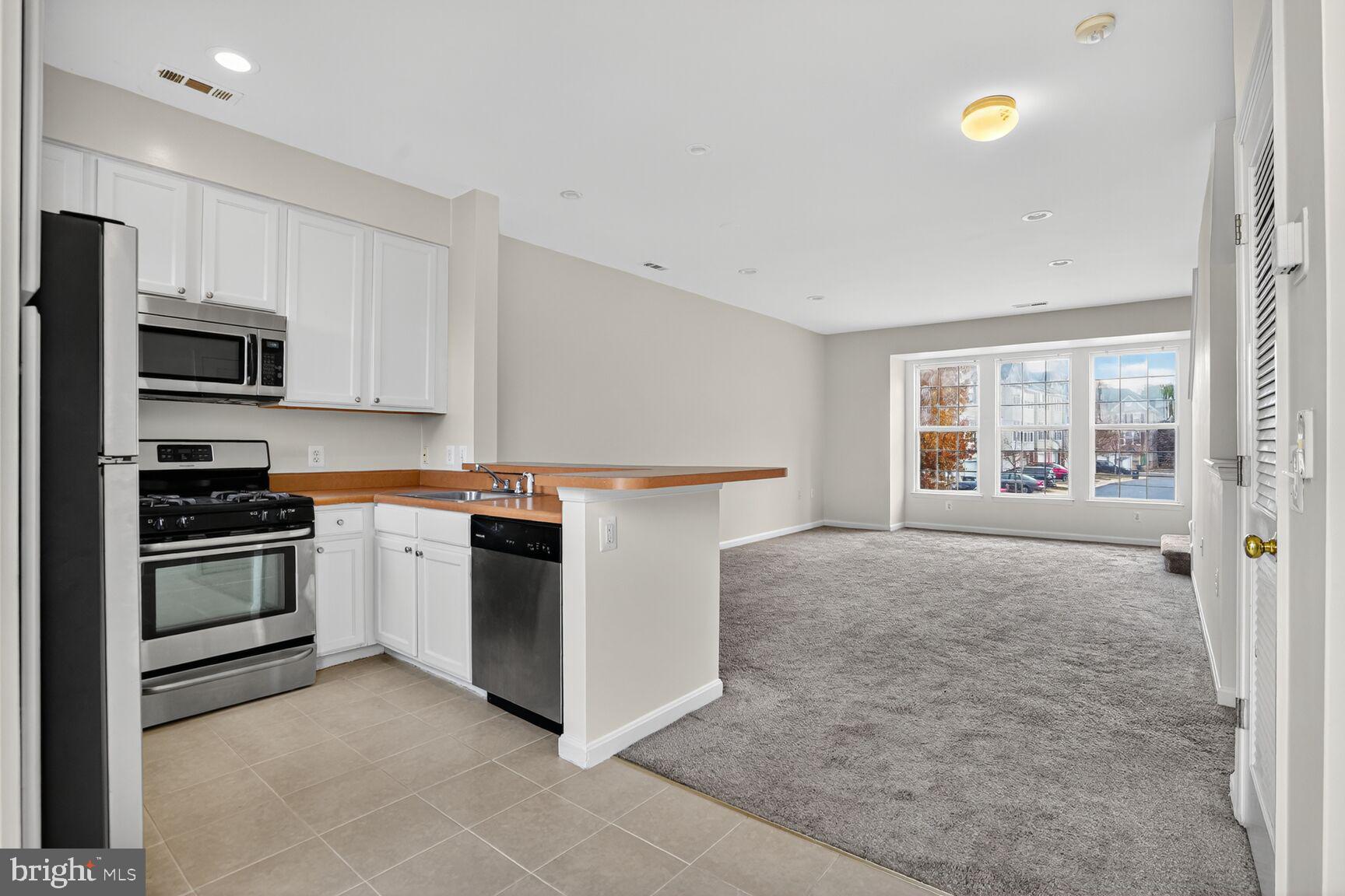 PARKSIDE AT DULLES - Residential