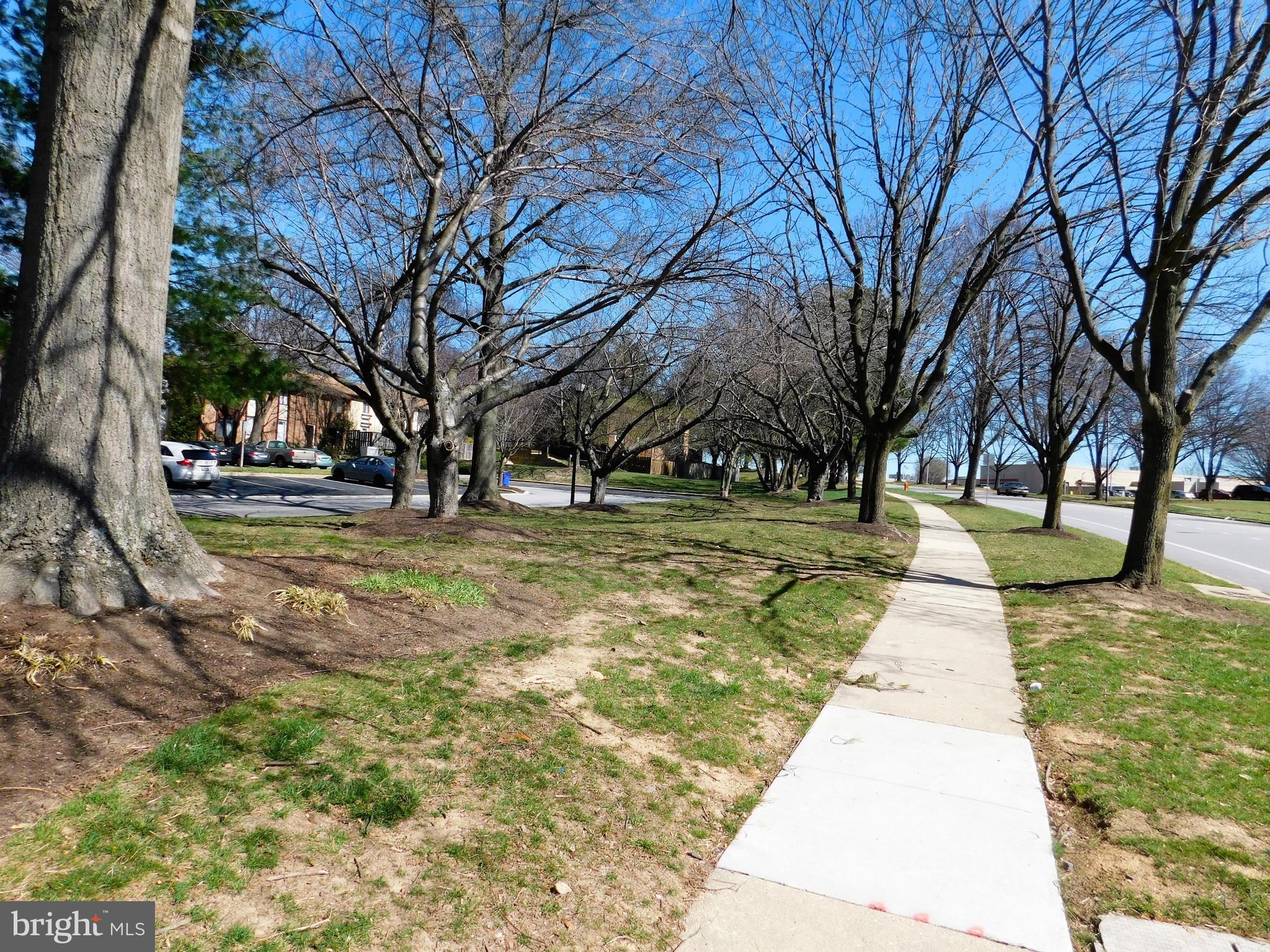 VILLAGE OF OWEN BROWN - Residential