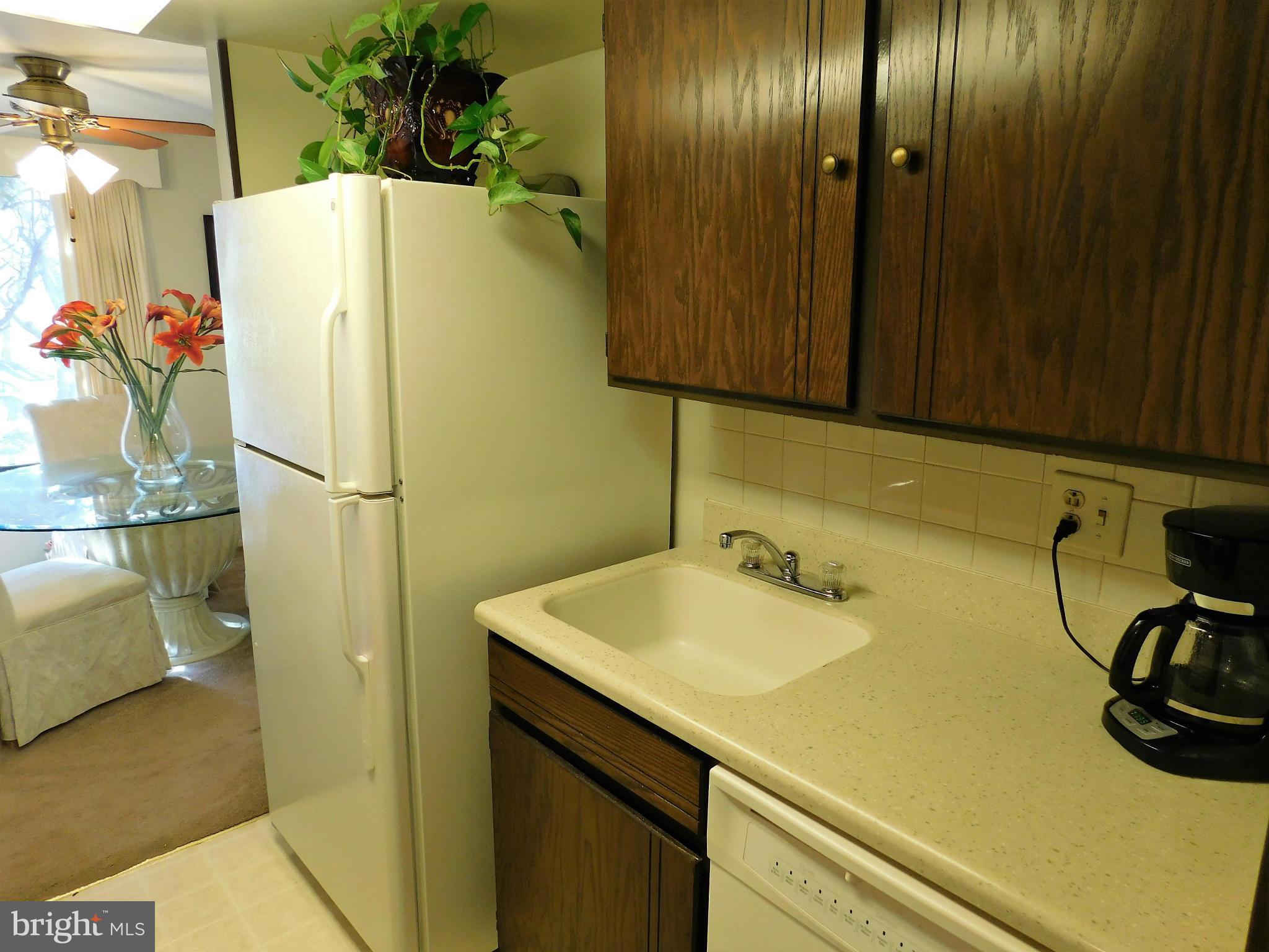 VILLAGE OF OWEN BROWN - Residential