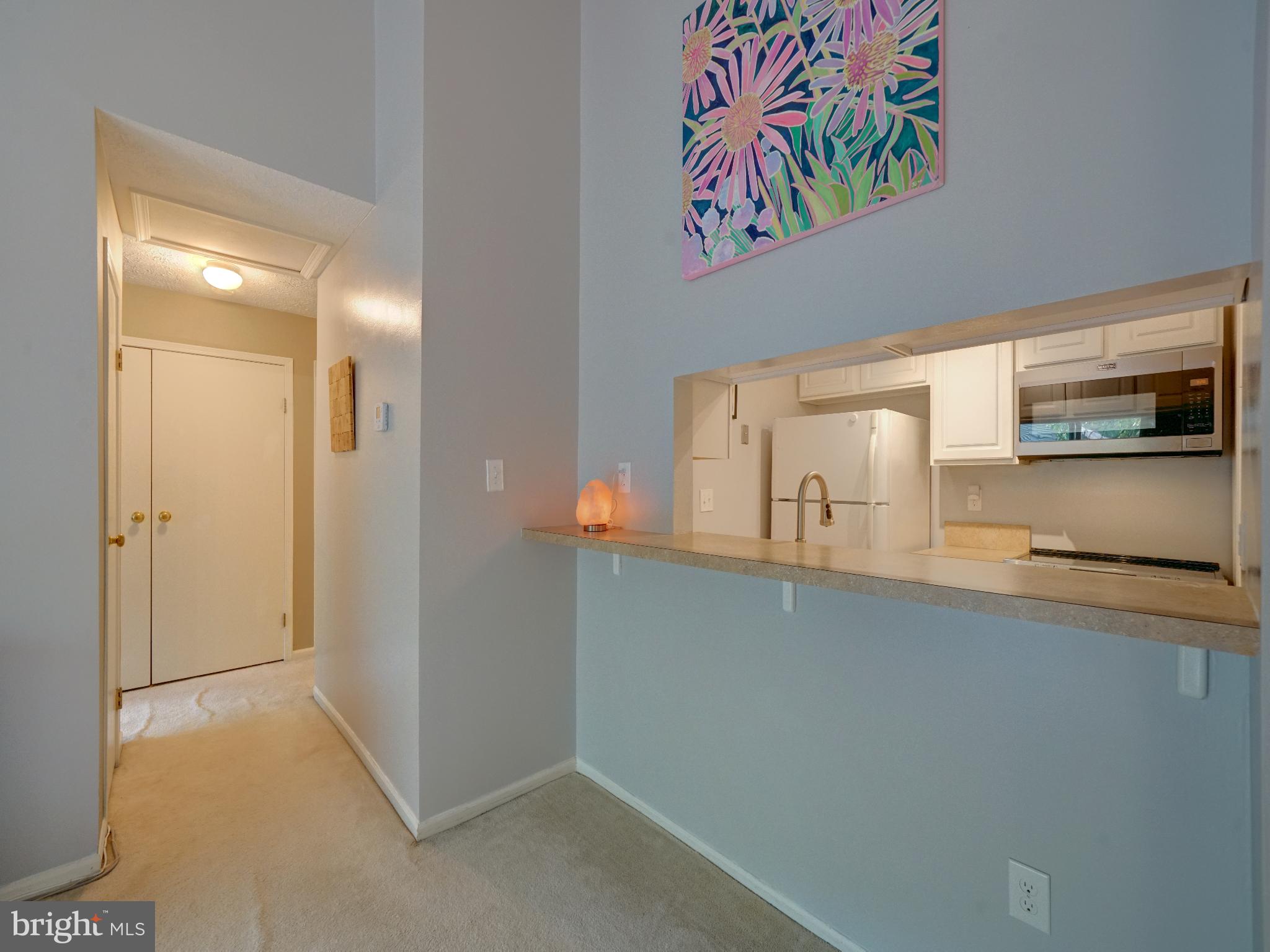 VILLAGE OF HICKORY RIDGE - Residential