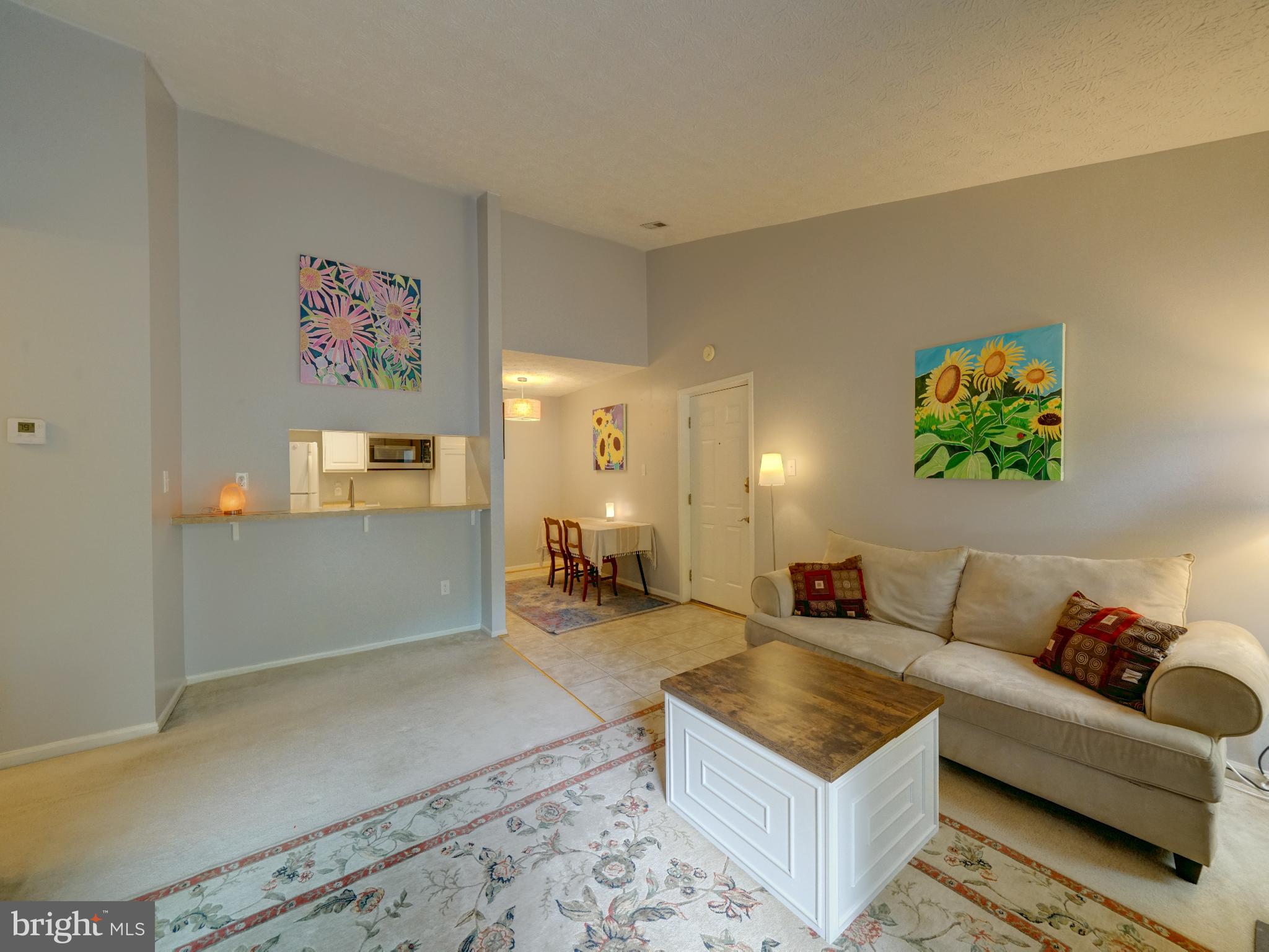 VILLAGE OF HICKORY RIDGE - Residential