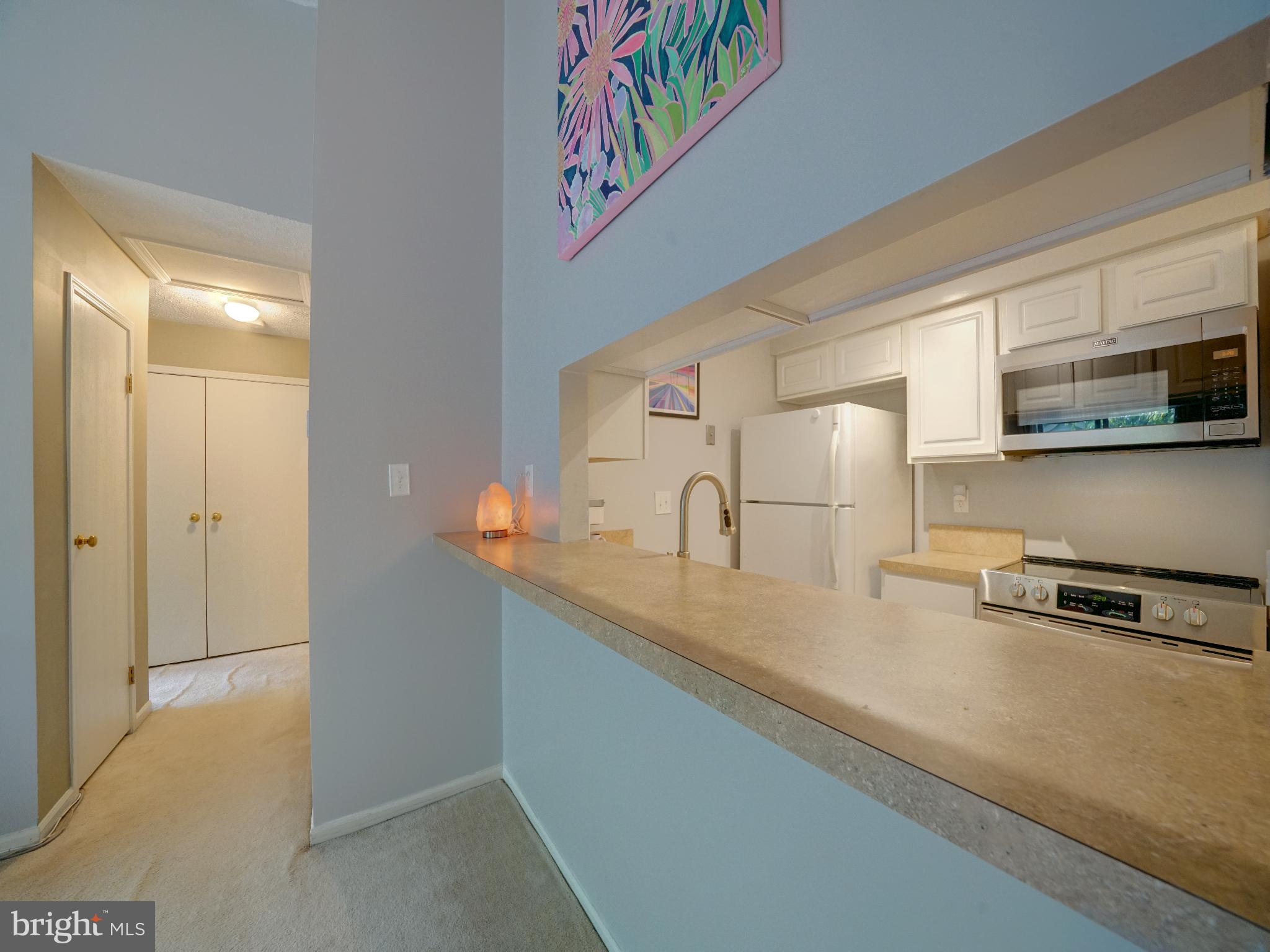 VILLAGE OF HICKORY RIDGE - Residential