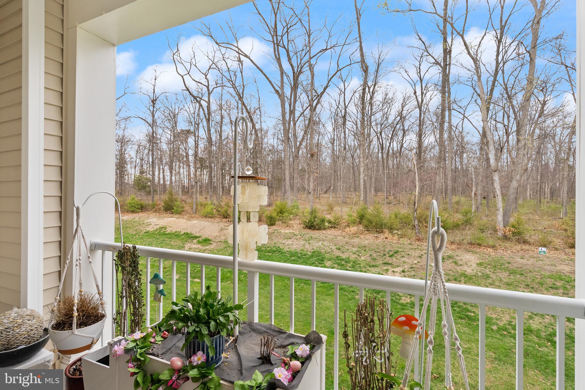 LOUDOUN VALLEY RIDGES - Residential