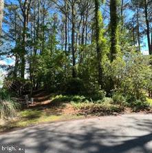 PINEY ISLAND II - Land