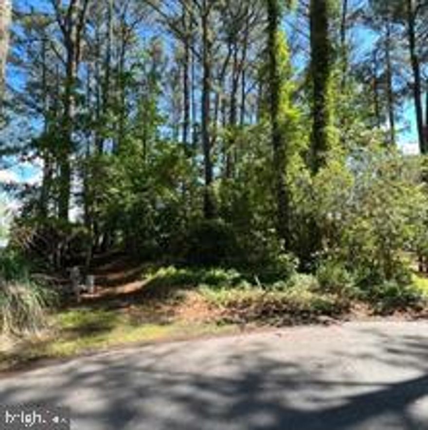 Discover the beauty of Maryland’s Eastern Shore with this stunning .8240 waterfront lot.Enjoy breathtaking sunsets and peaceful surroundings as you build the home of your dreams. Perfectly situated less than 30 minutes to Ocean City and Assateague Island, and just 40 minutes to Salisbury, this property combines convenience with coastal charm. Whether you’re looking for a year-round residence or a weekend getaway, this is the perfect spot to enjoy everything the Eastern Shore has to offer! Lot being sold "AS IS." Feasibility study buyer's responsibility.