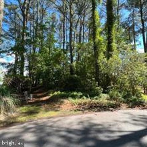 11043 PINEY ISLAND DRIVE BISHOPVILLE MD 21813