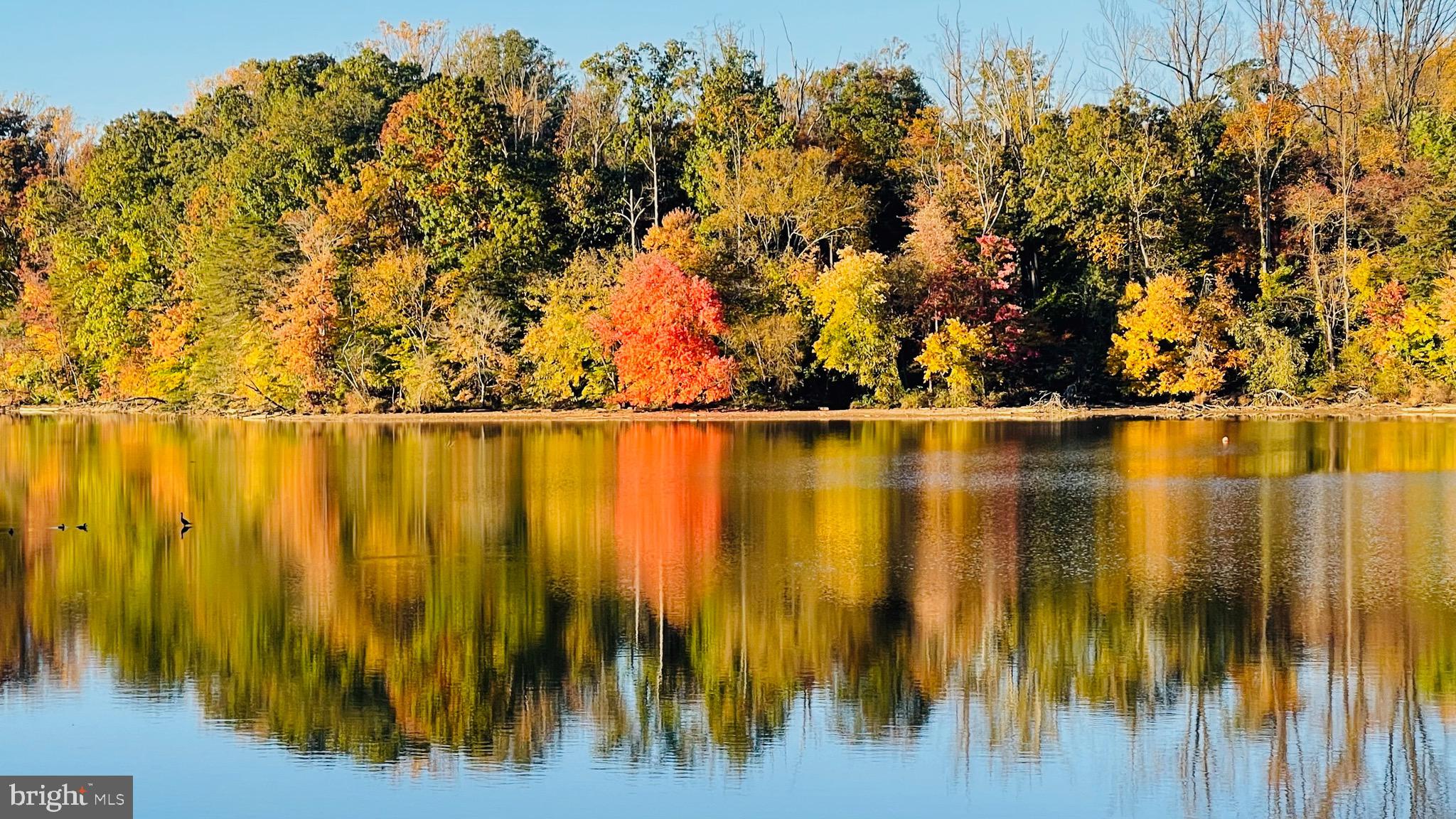NORTH SPRINGFIELD - Residential