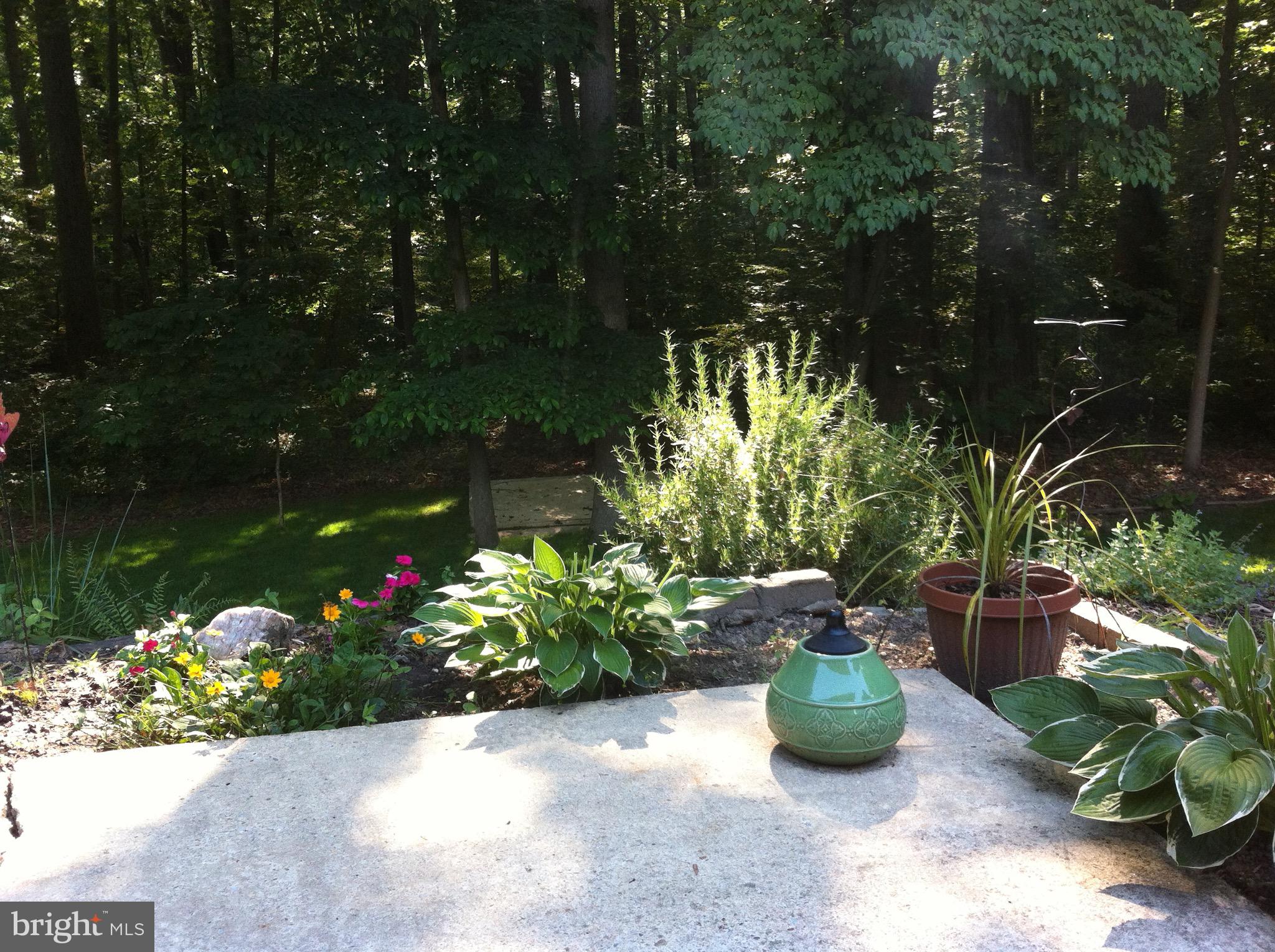 NORTH SPRINGFIELD - Residential