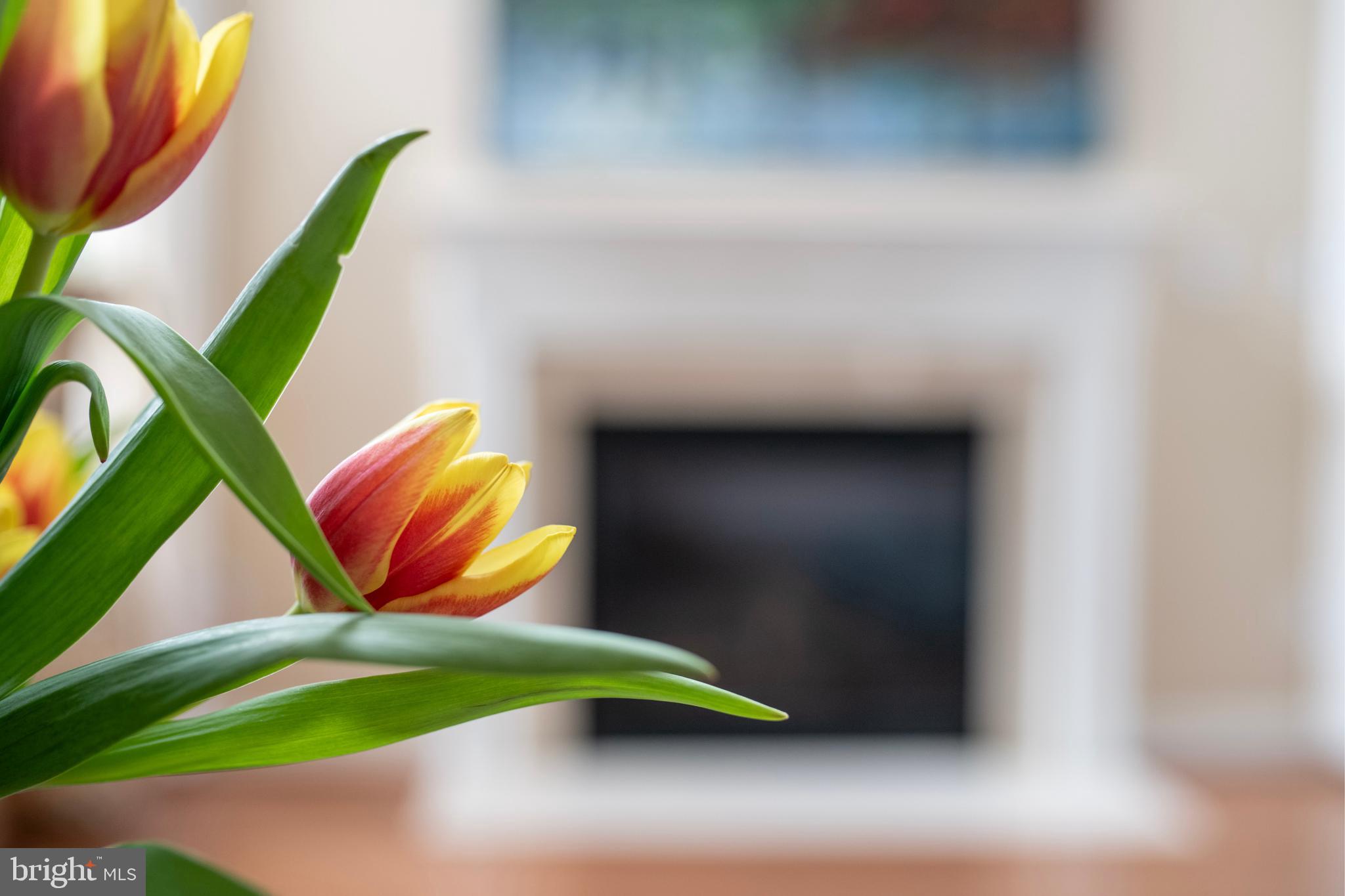 WEST ANNAPOLIS - Residential