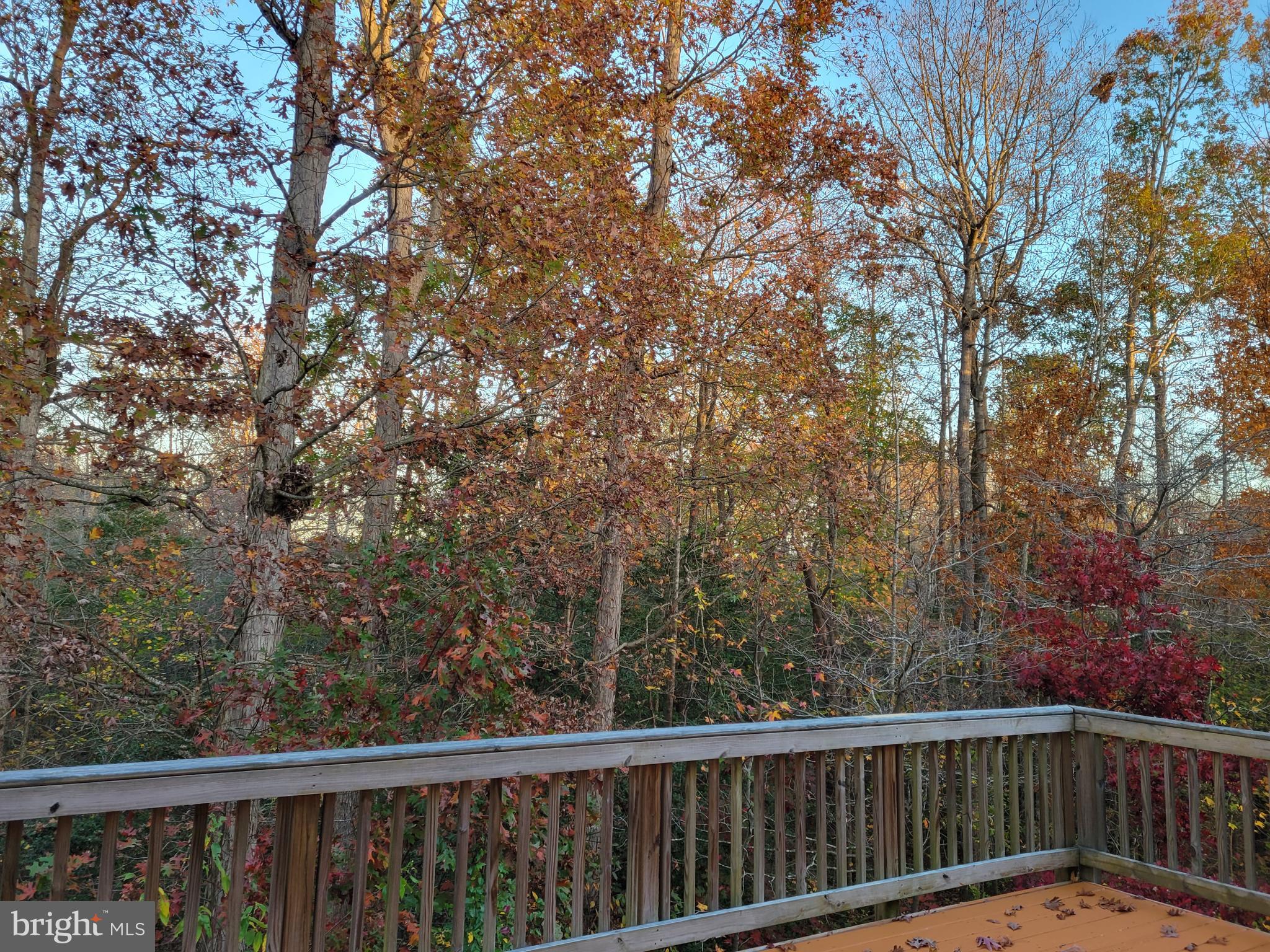 MAZEL - Residential Lease