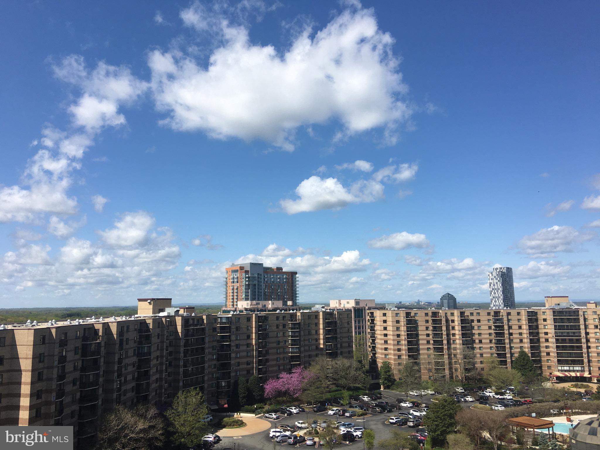 ROTONDA - Residential Lease