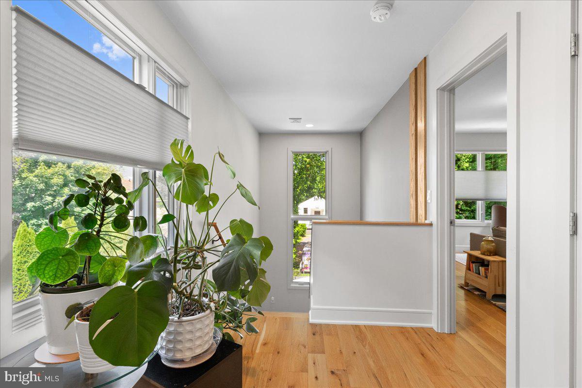 23 LEIGH AVENUE B