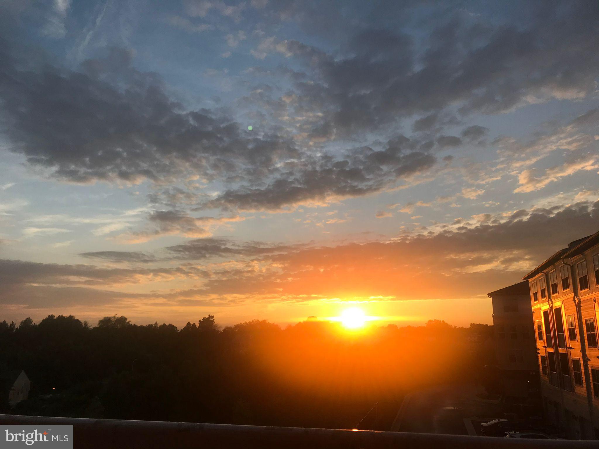 CROWN - Residential Lease