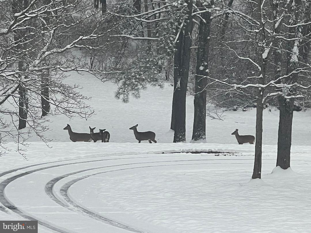 TWIN LAKES - Residential