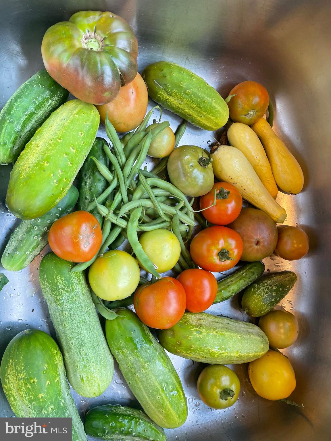 TWIN LAKES - Residential