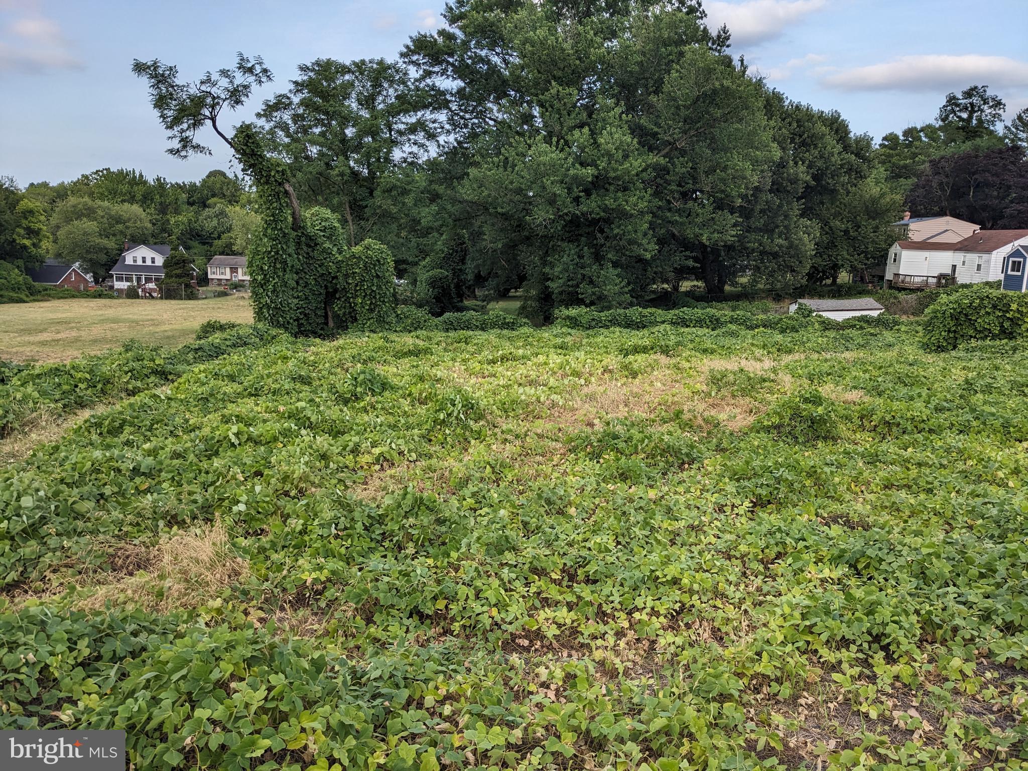 LYNDON HILLS-ADDN - Land