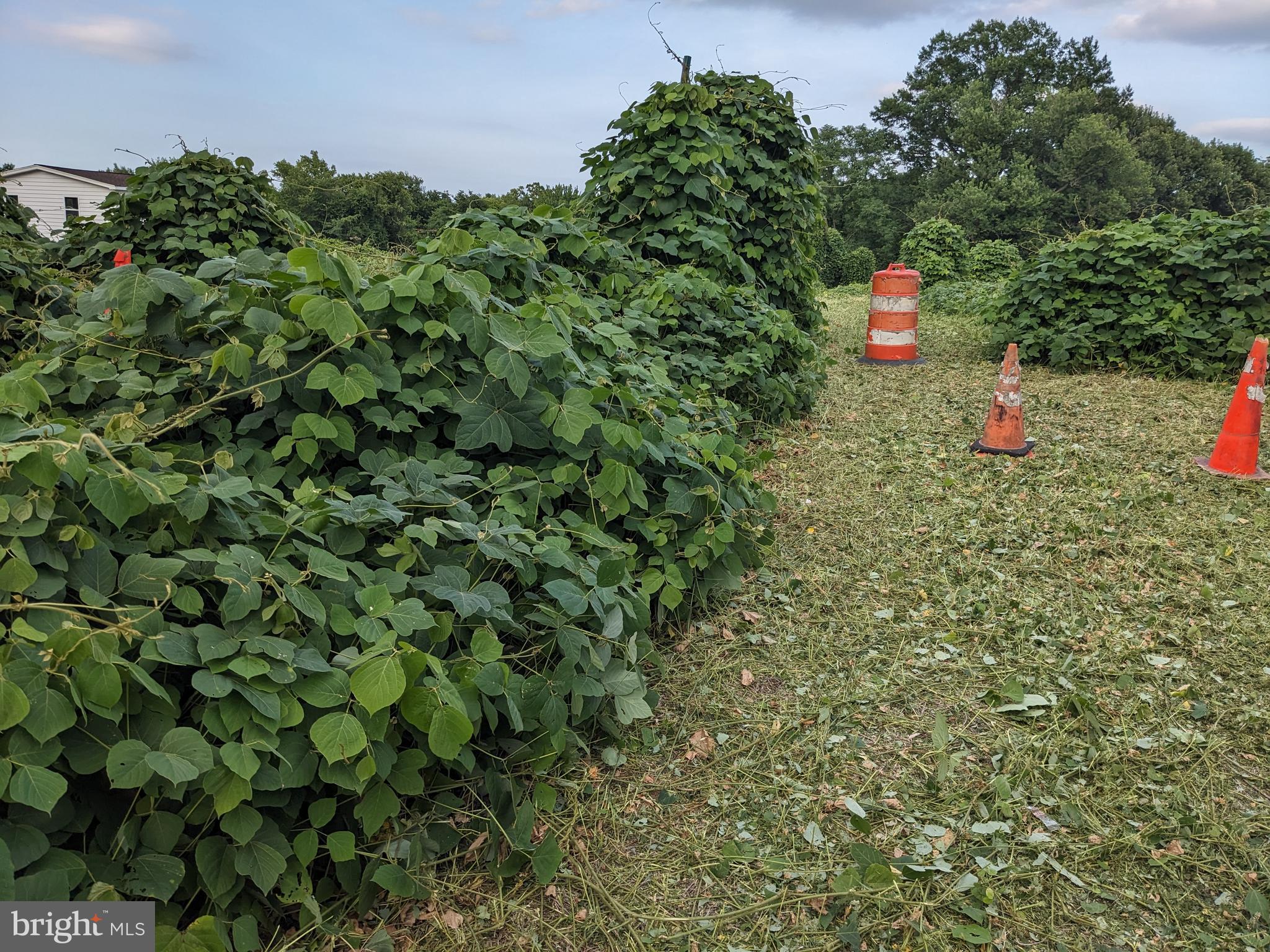 LYNDON HILLS-ADDN - Land