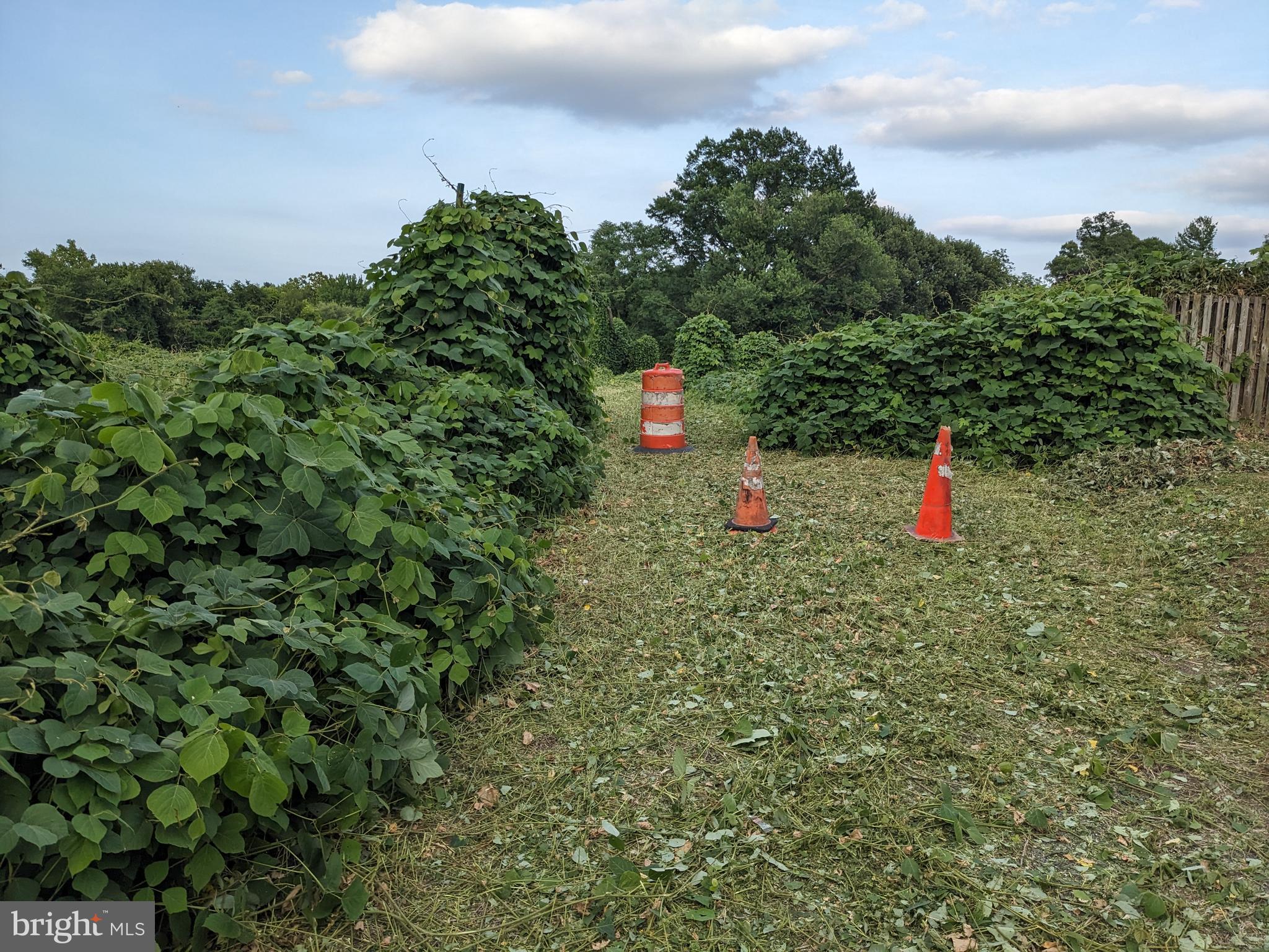 LYNDON HILLS-ADDN - Land