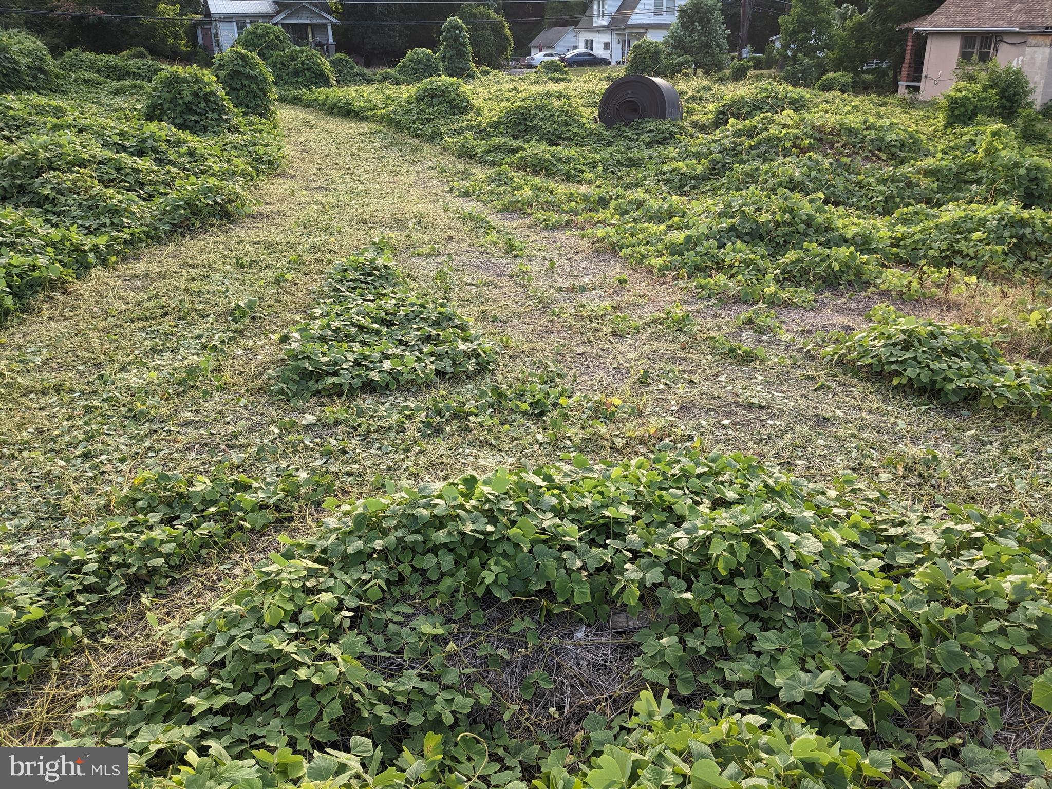 LYNDON HILLS-ADDN - Land