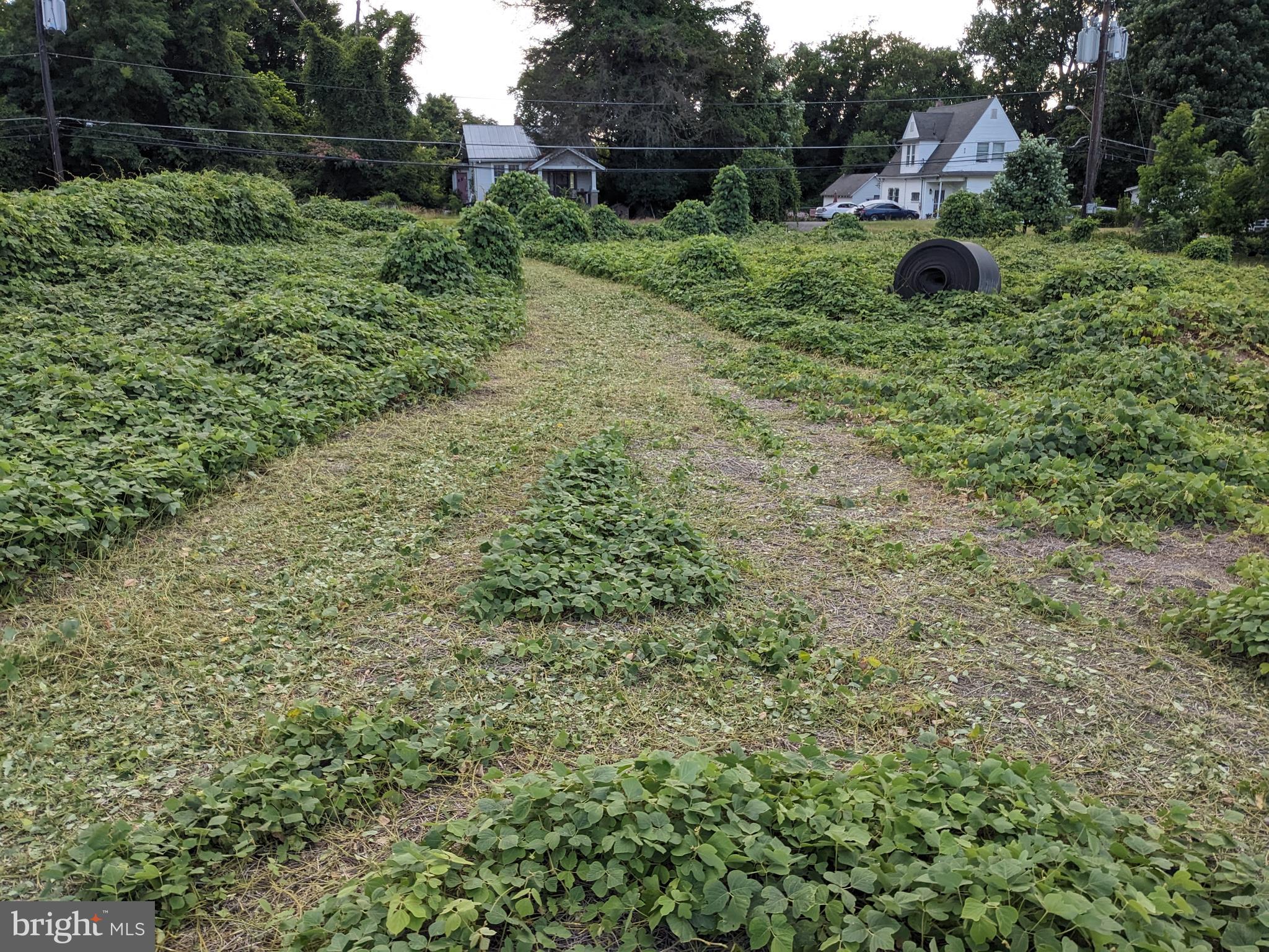 LYNDON HILLS-ADDN - Land