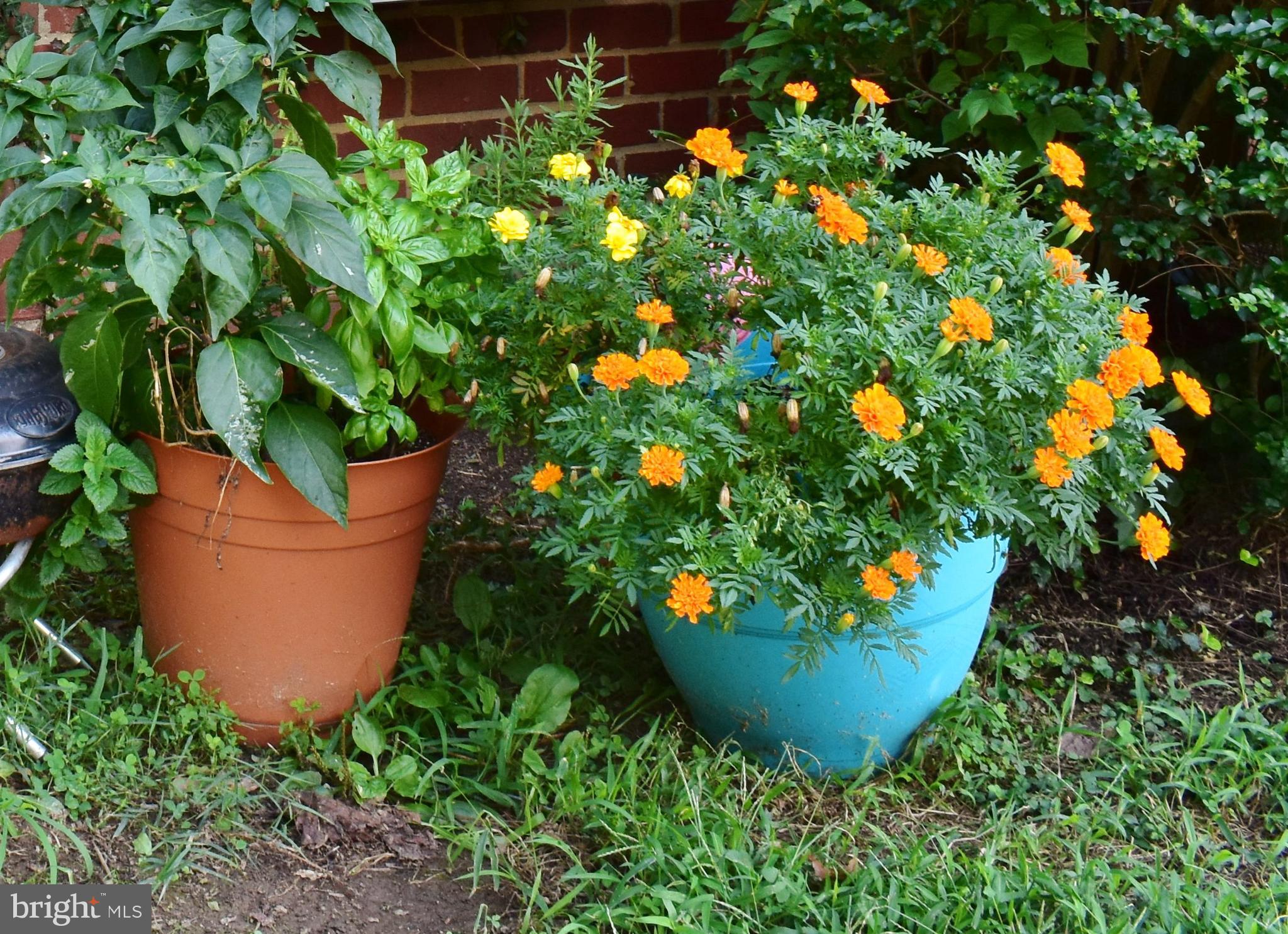 FOREST HILLS - Residential Lease