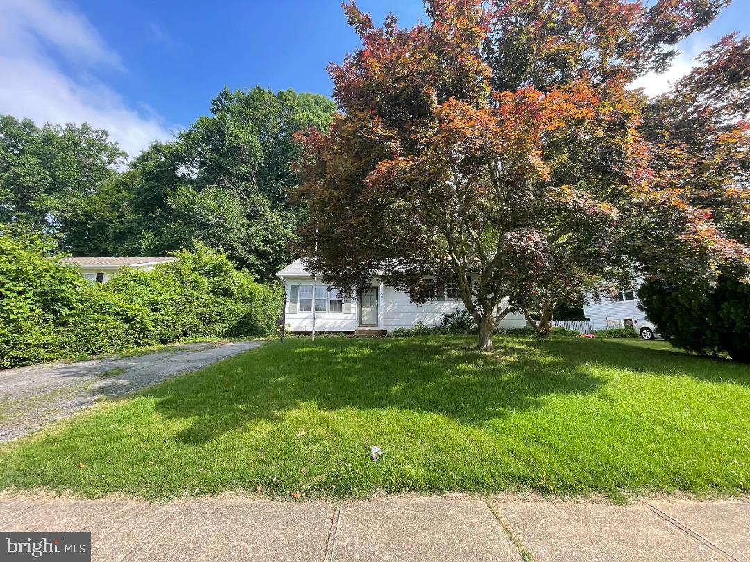 253 COURTNEY DRIVE