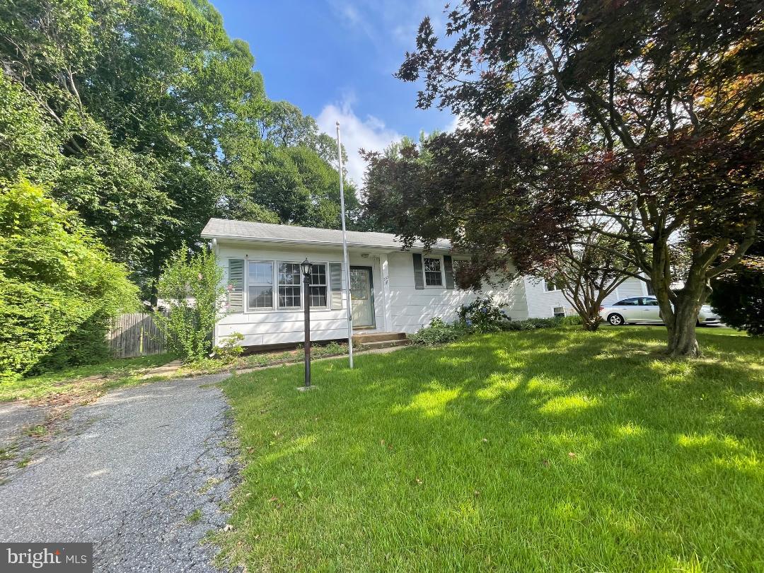 253 COURTNEY DRIVE