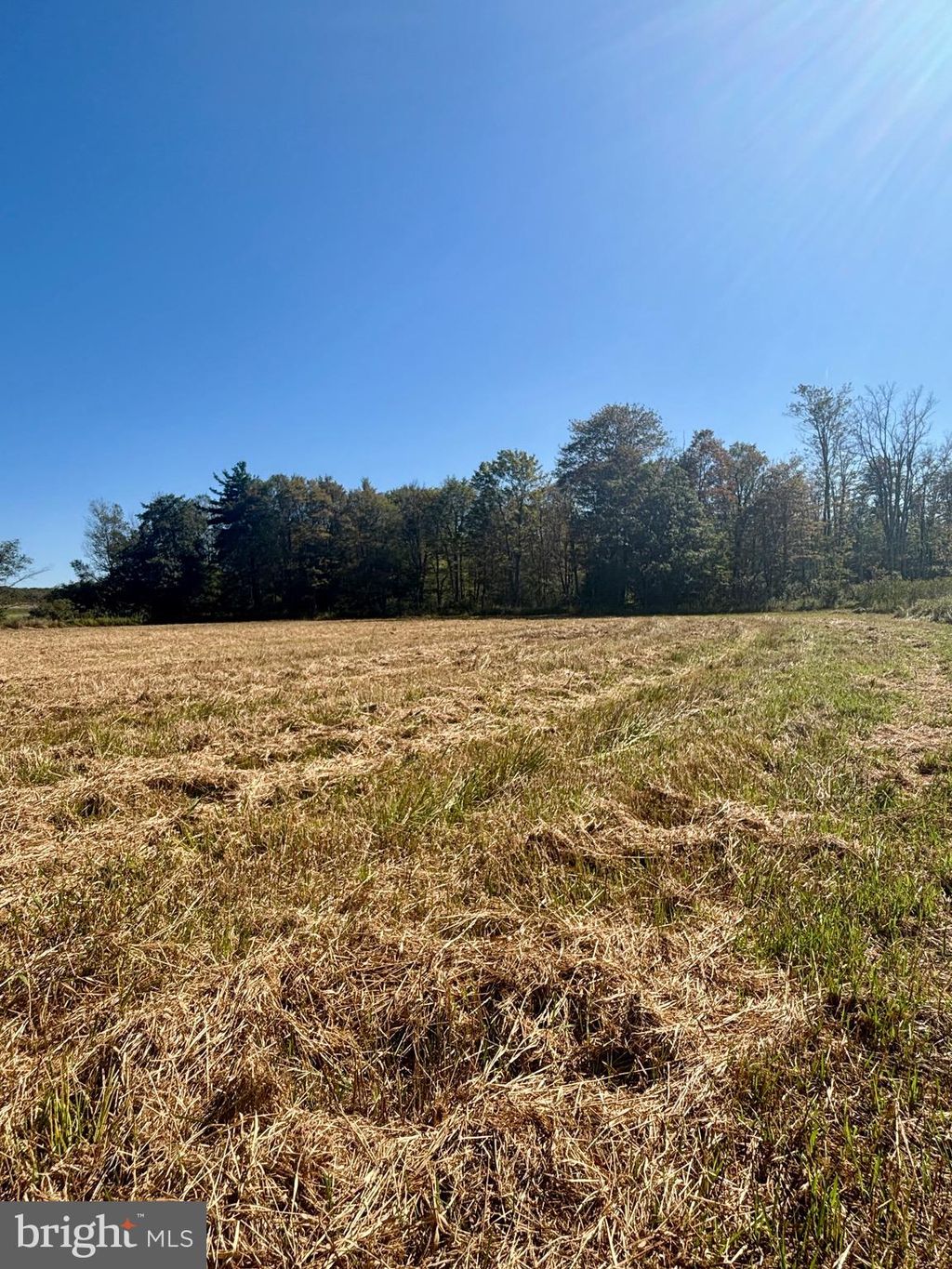 Photo of 1360 Coleman Station Road, FRIEDENS, PA 15541 (MLS # PASS2000270)