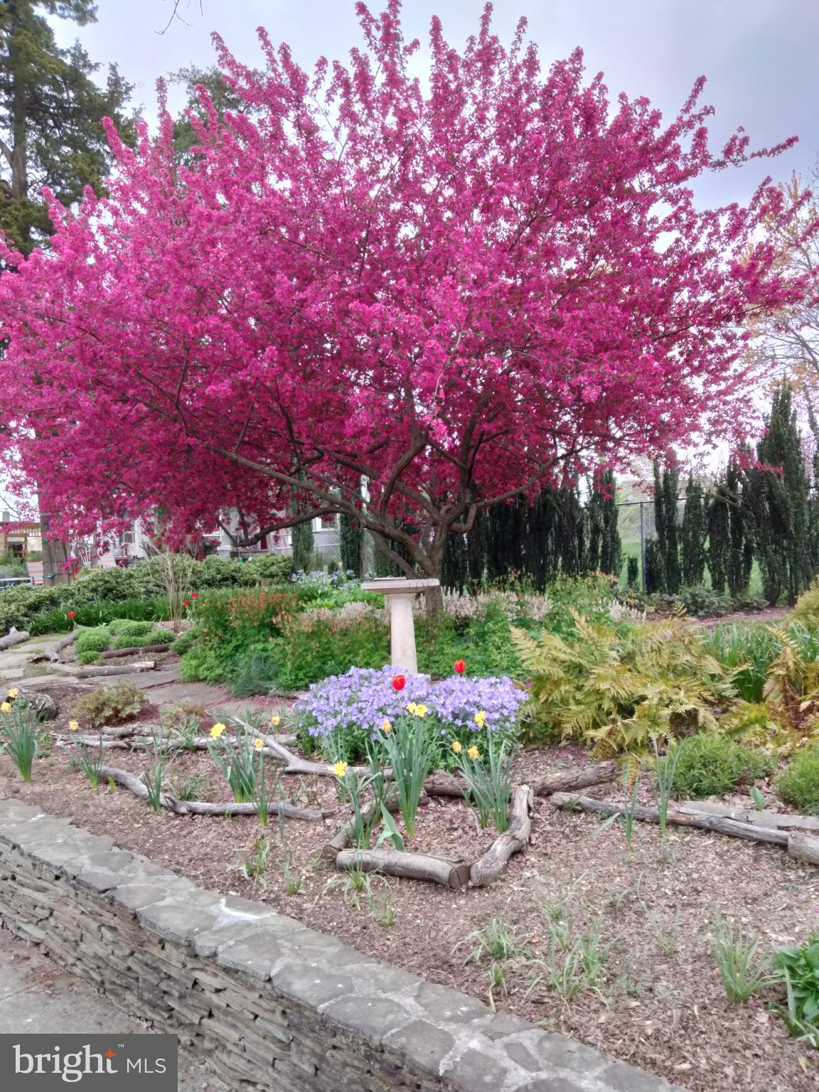 CHEVERLY - Residential Lease