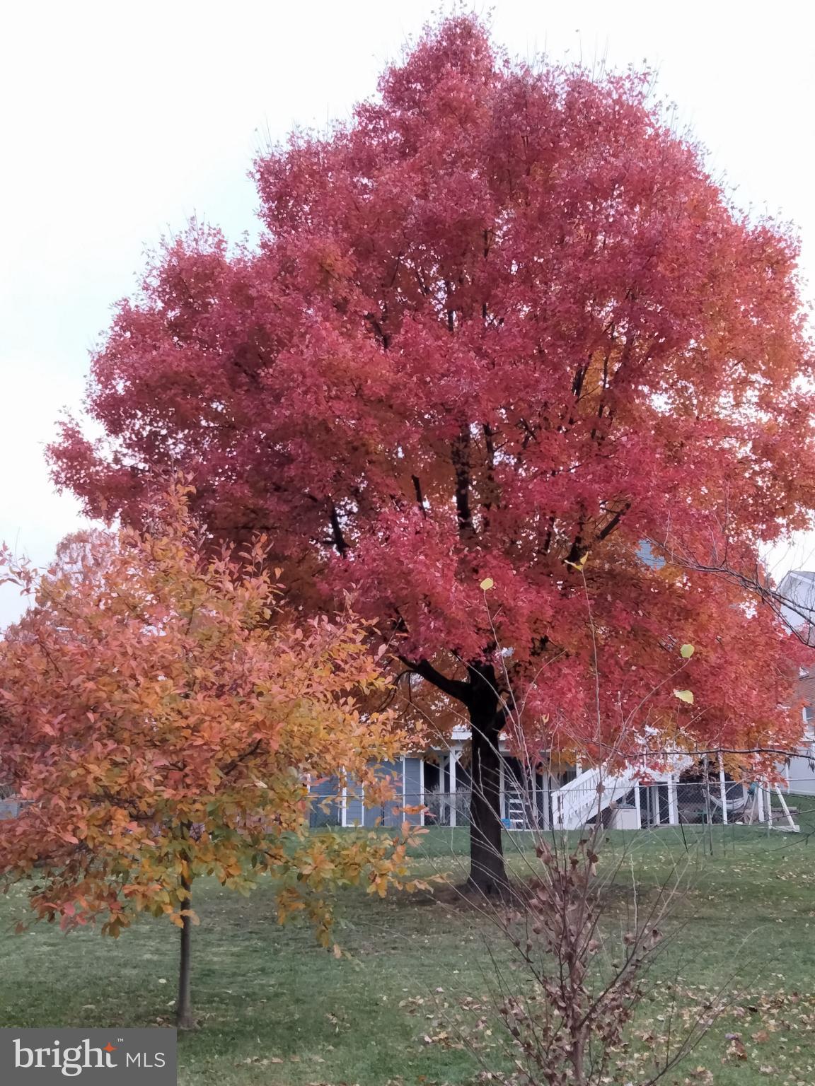 CHEVERLY - Residential Lease