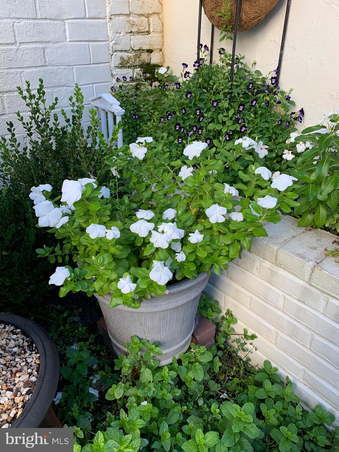 YATES GARDENS - Residential