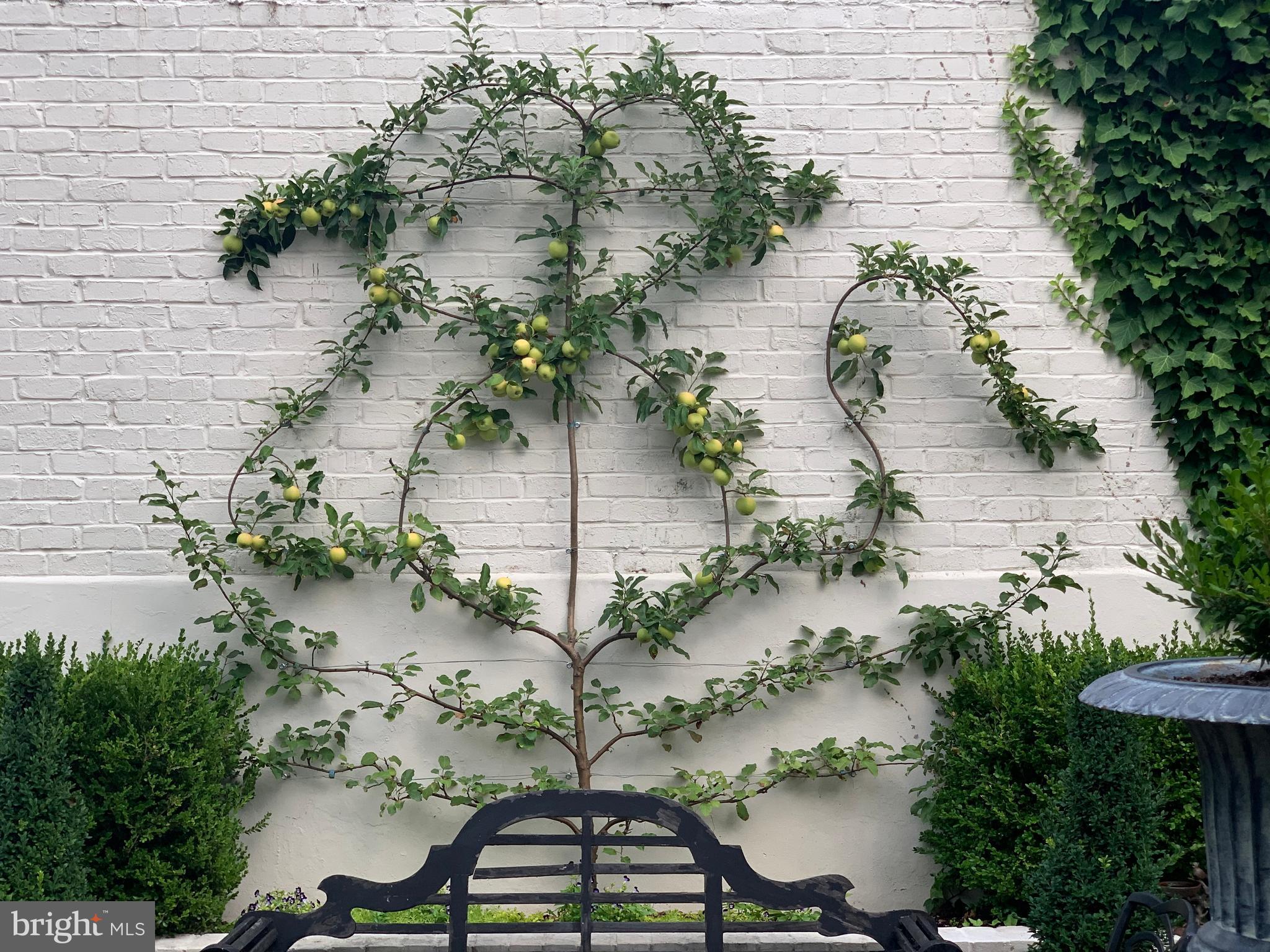 YATES GARDENS - Residential