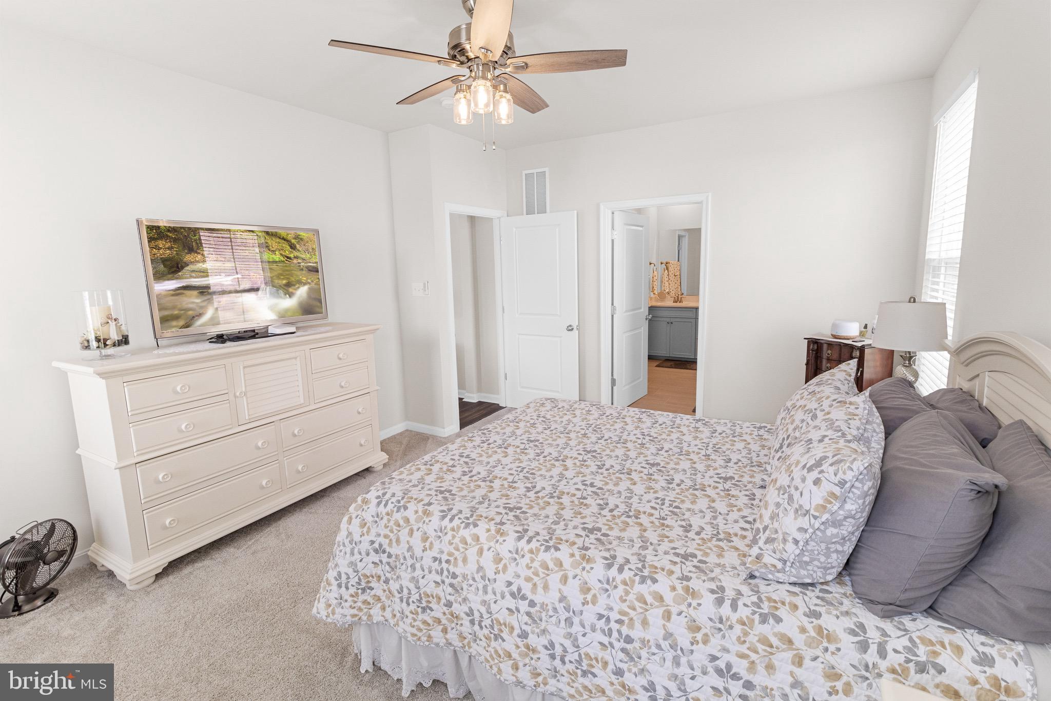 NORBORNE GLEBE - Residential