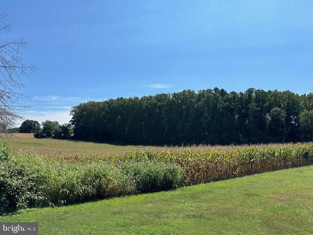 169 CEMETERY ROAD