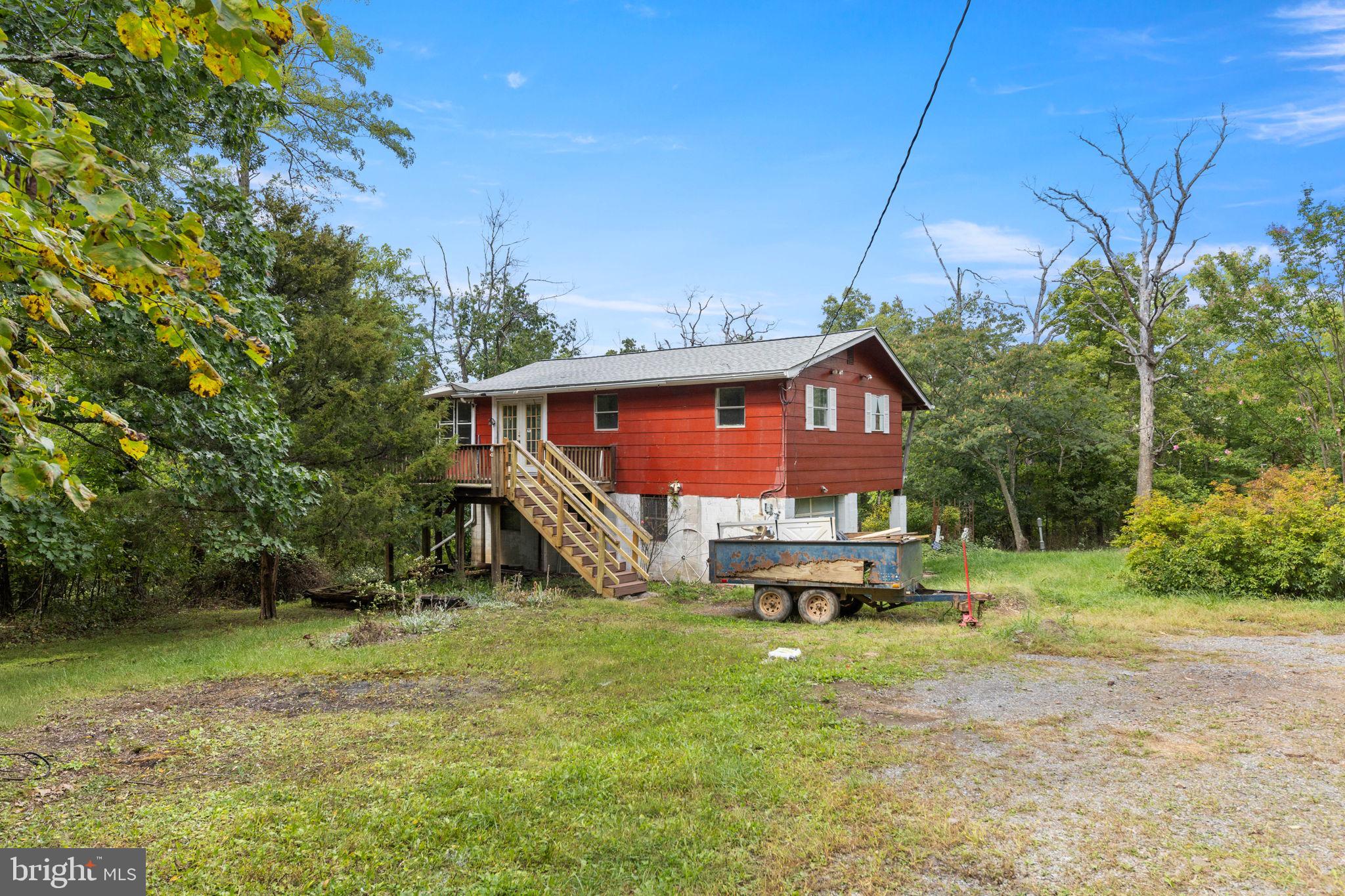 132 WHITE PINES