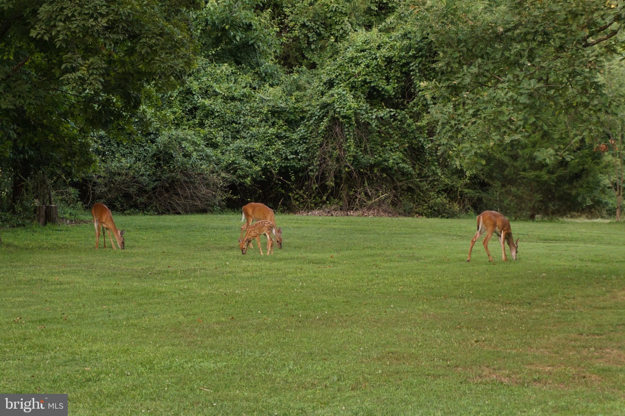BUNKER HILL HEIGHTS - Residential