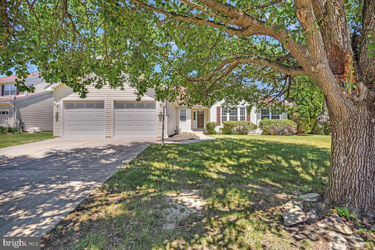 5503 SKIPJACK COURT