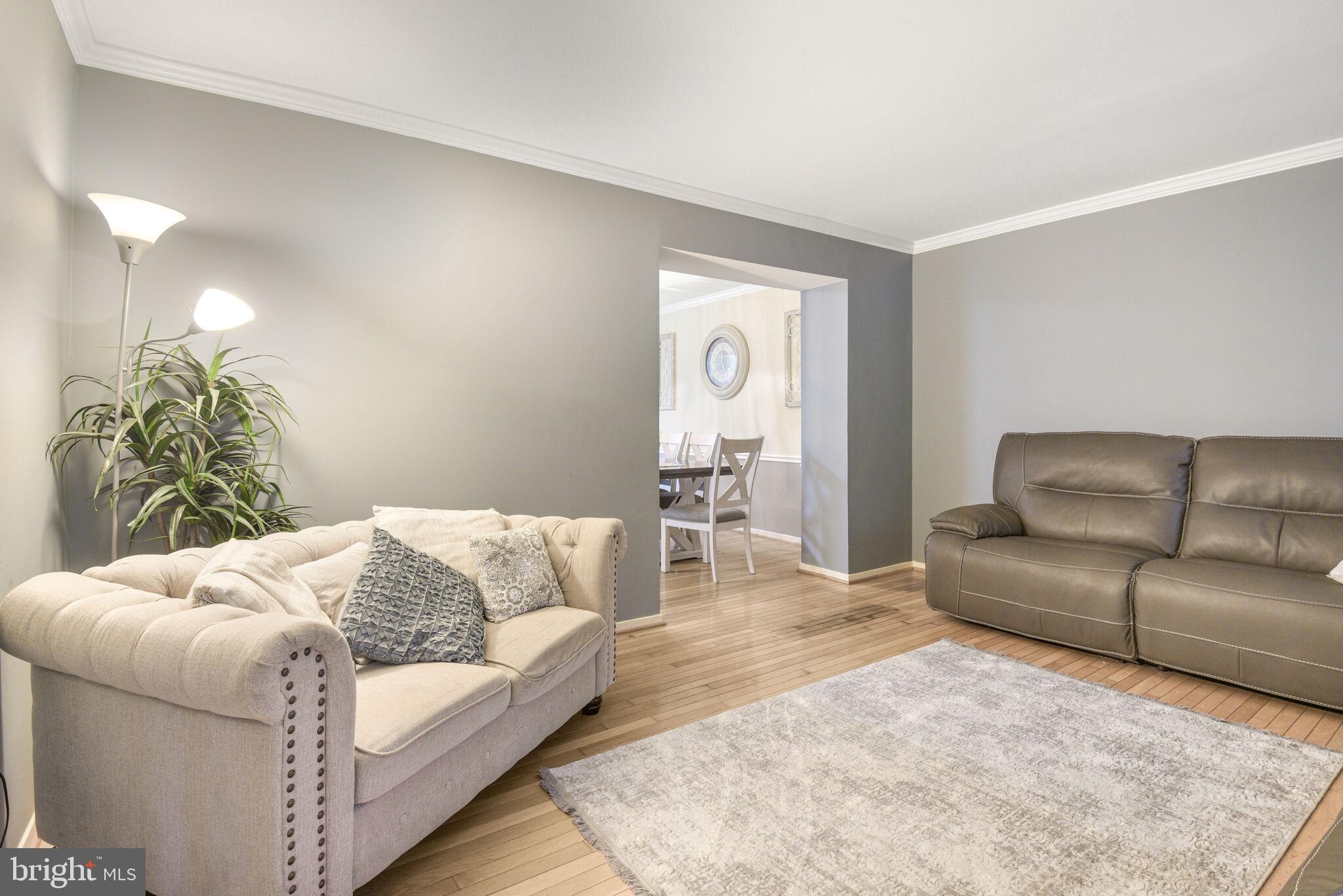18723 CAPELLA LANE