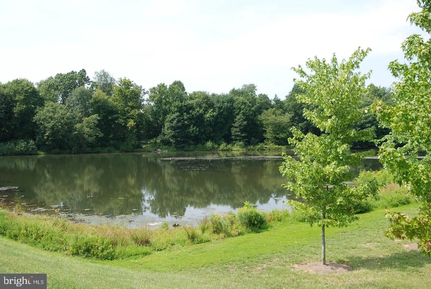 Additional image 138 of 110 Clagett Crossing Place, Gaithersburg, MD 20878