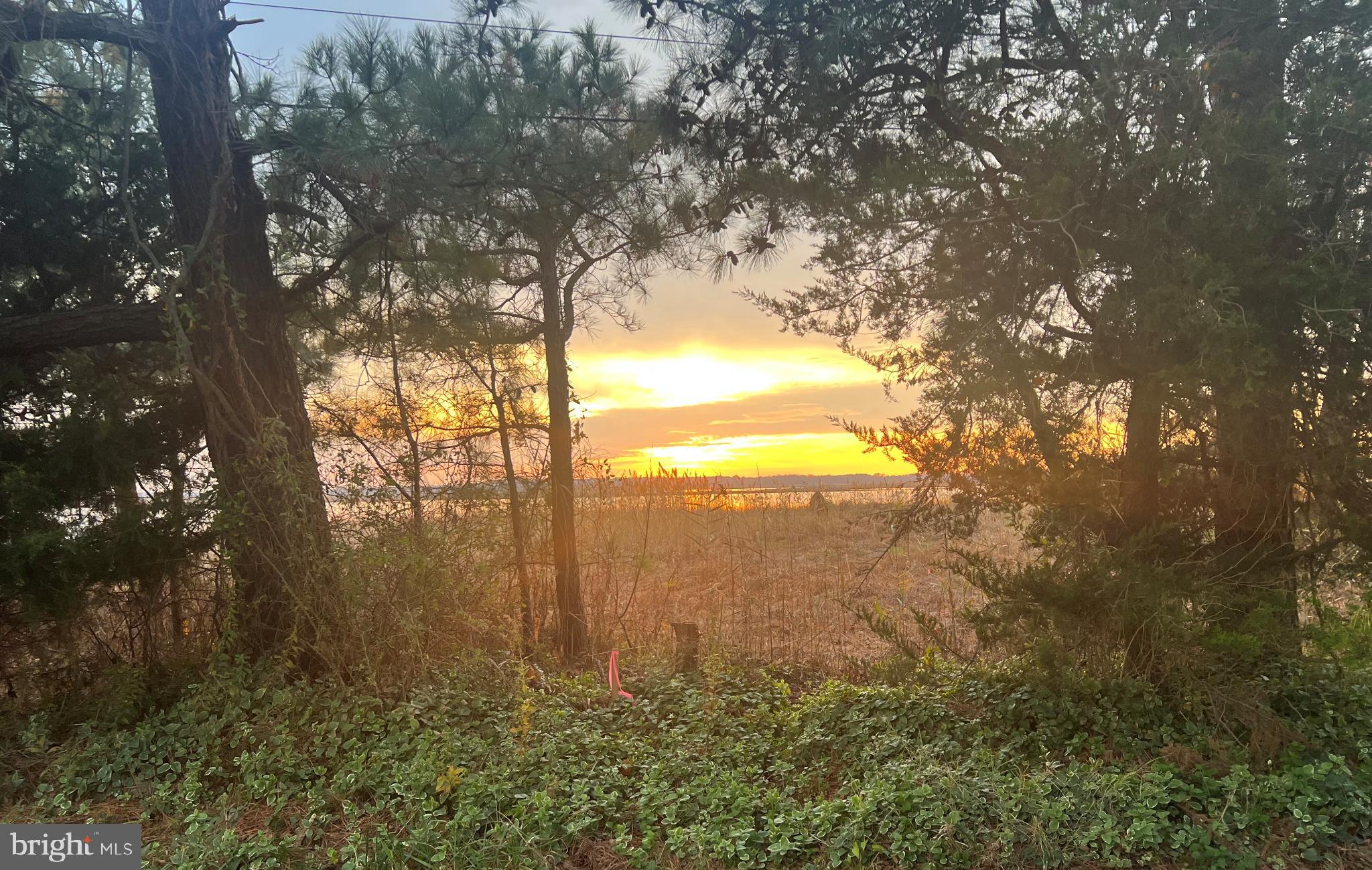 PRIMEHOOK BEACH - Residential