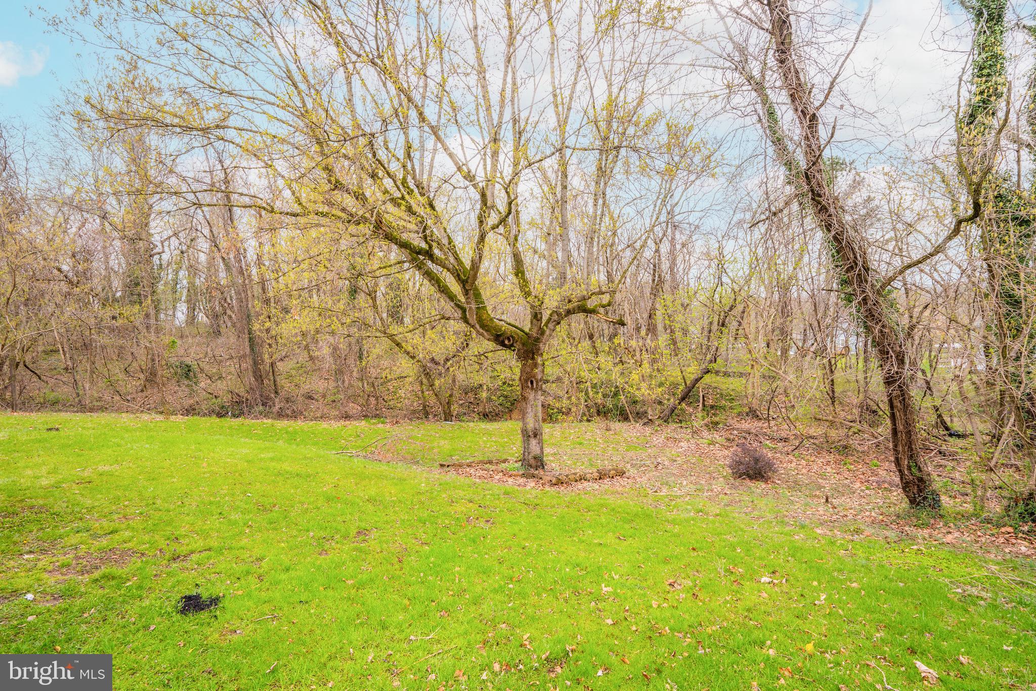 SQUIRES WOOD - Residential Lease