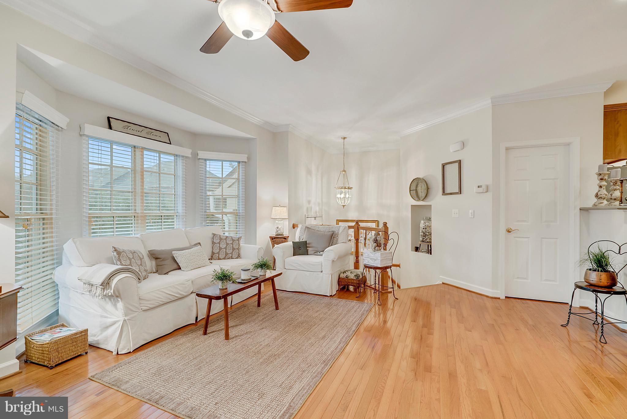 PLANE TREE - Residential